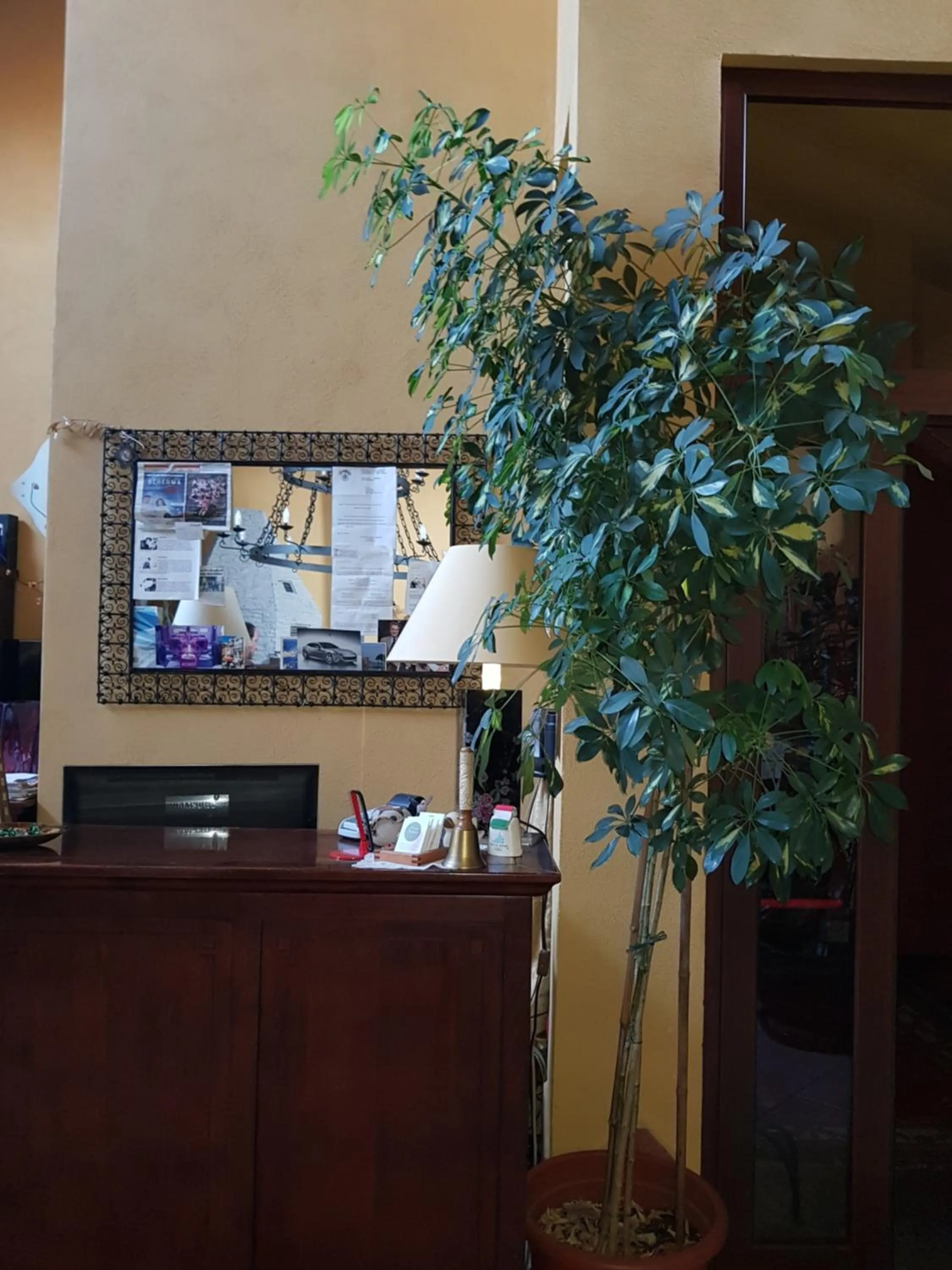 Lobby or reception in Hotel Damian Park Hotel Delle Magnolie