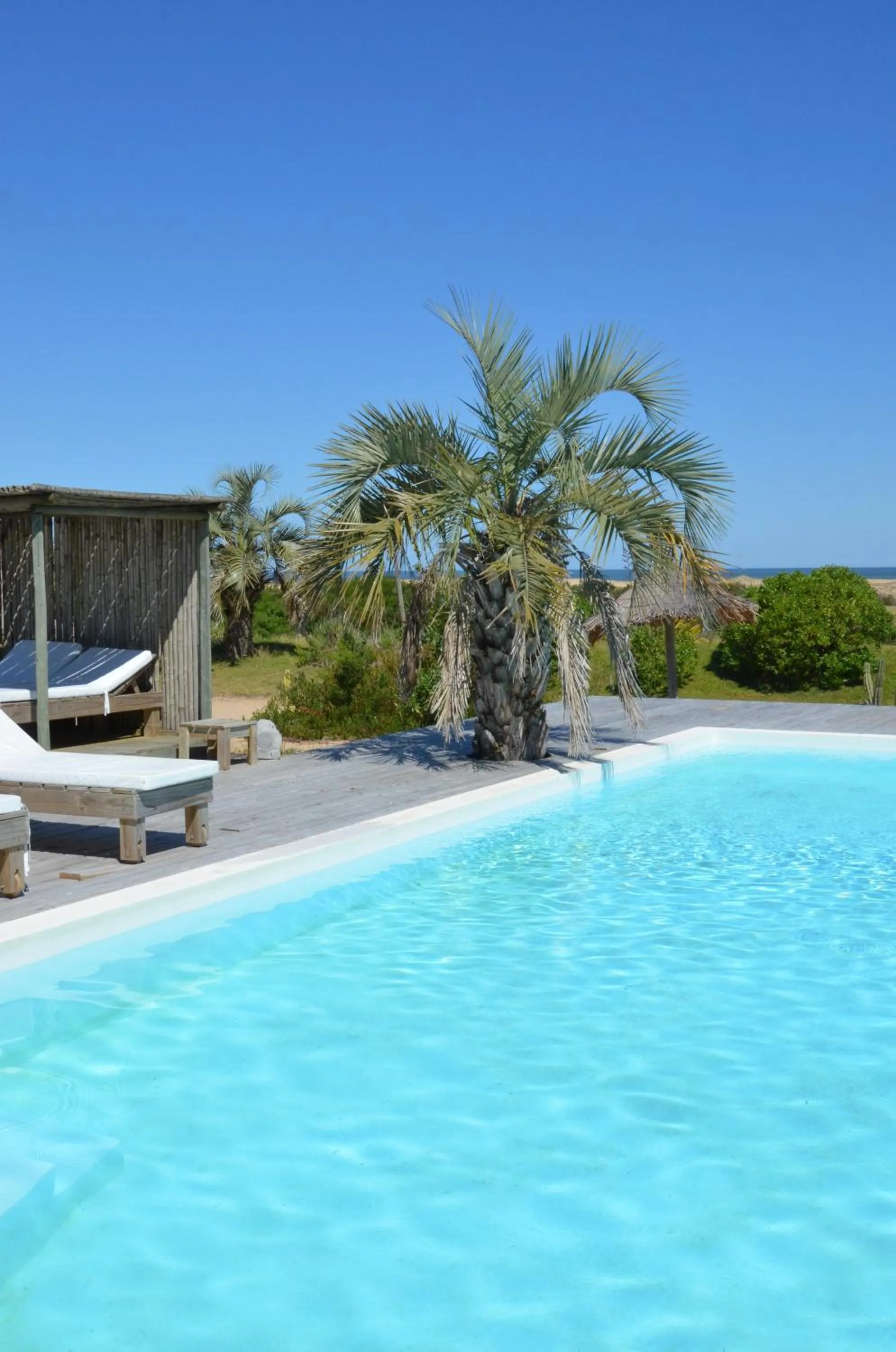 Swimming pool in Casa Suaya