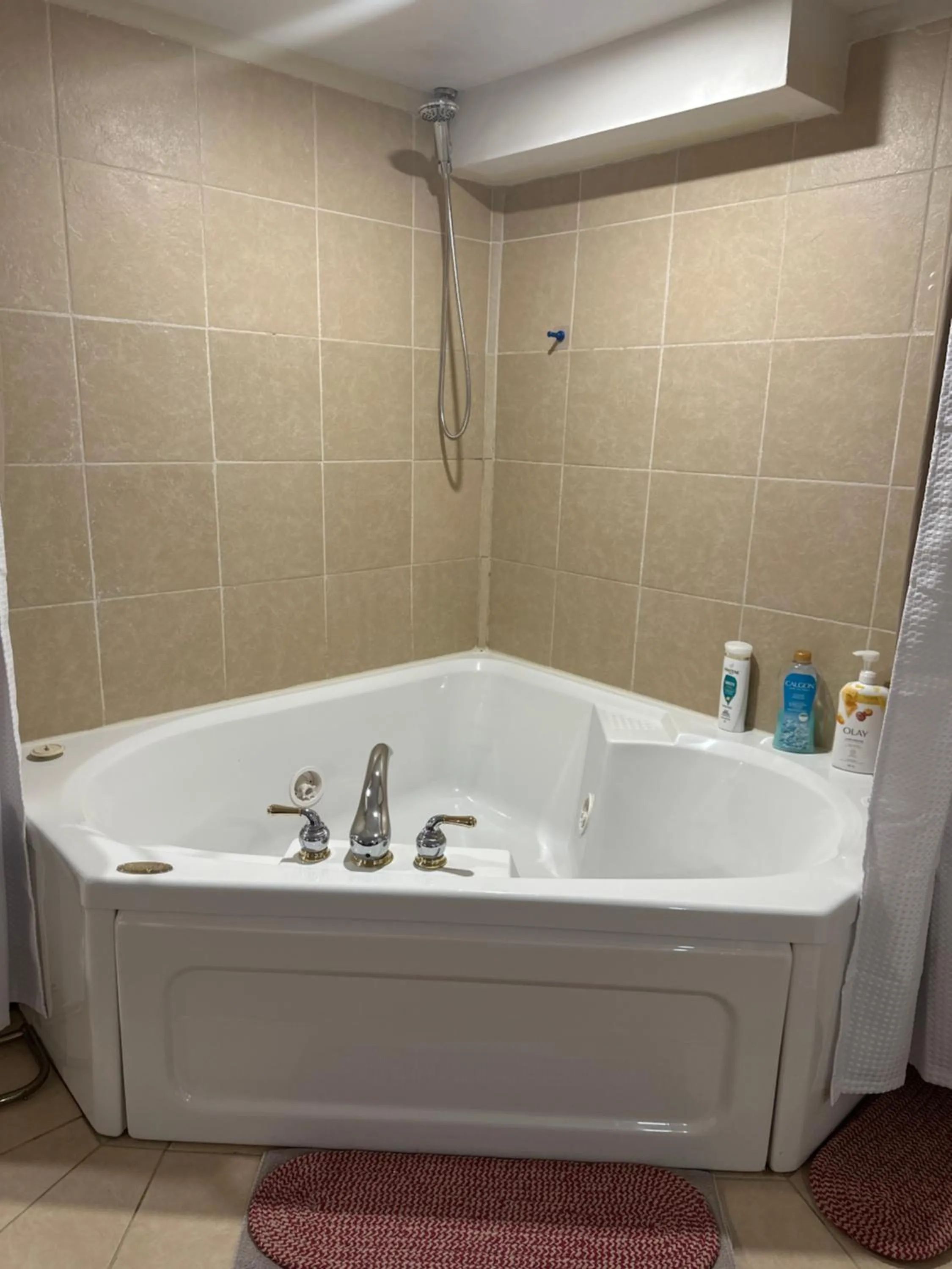 Blue Gables Bed and Breakfast