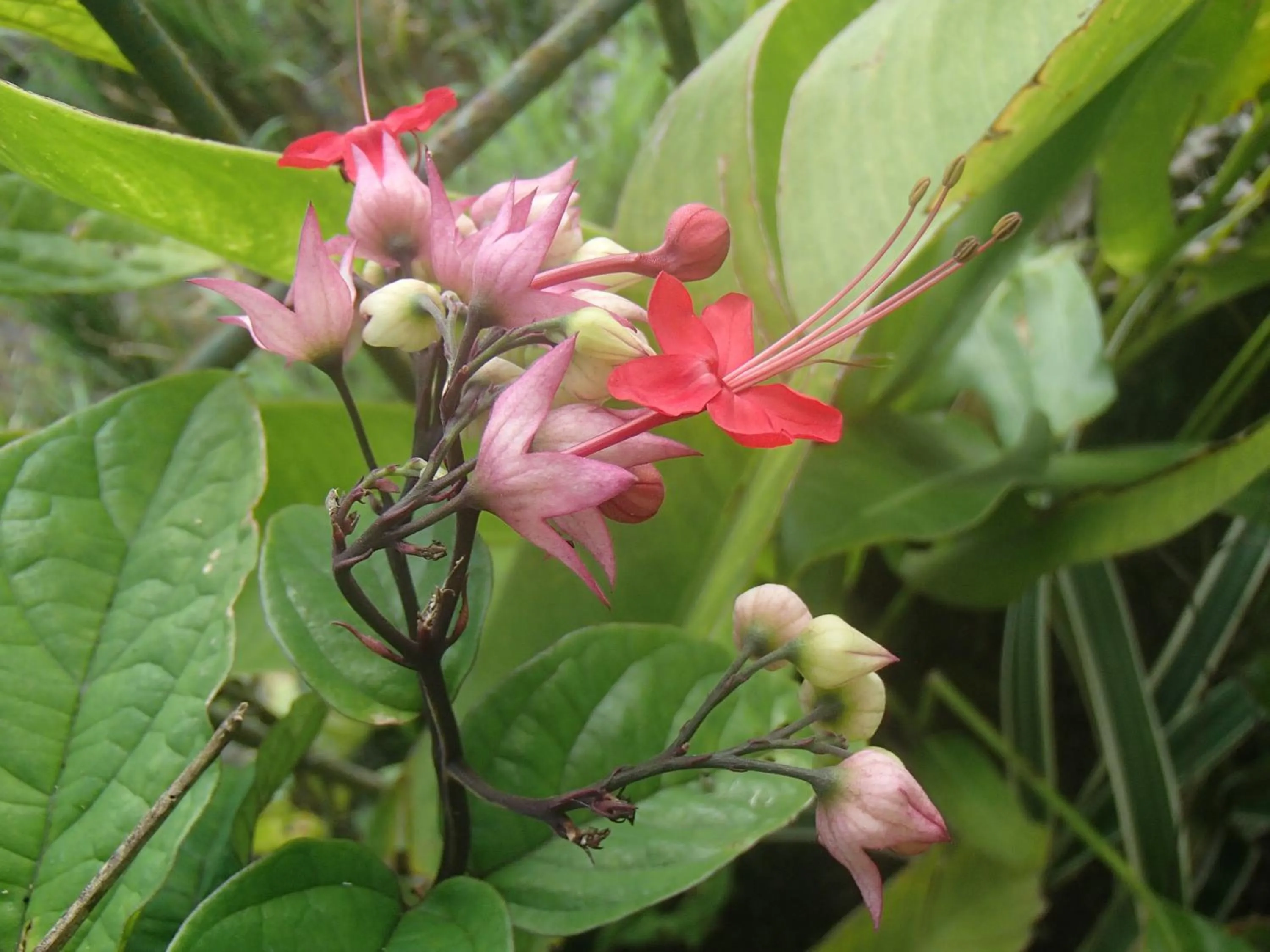 Other in Askara Guest House & Hostel