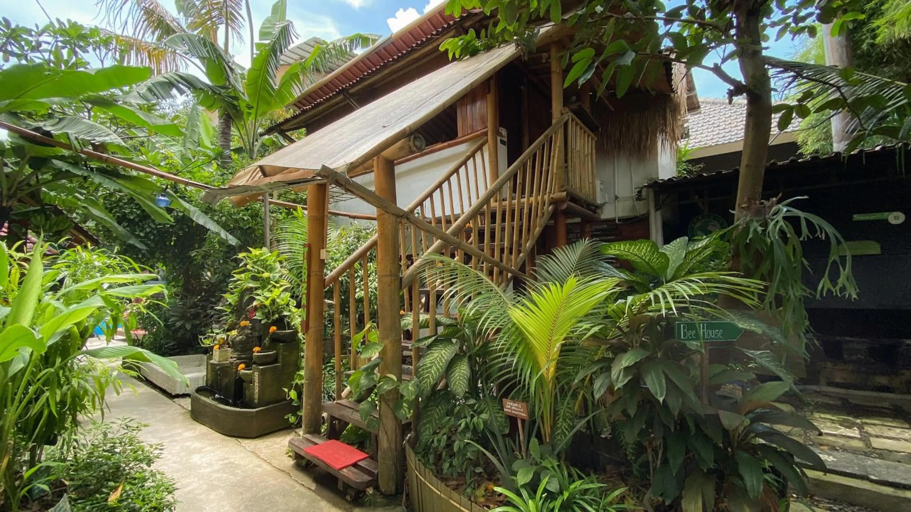 Garden view in Serenity Eco Guesthouse - CHSE certified