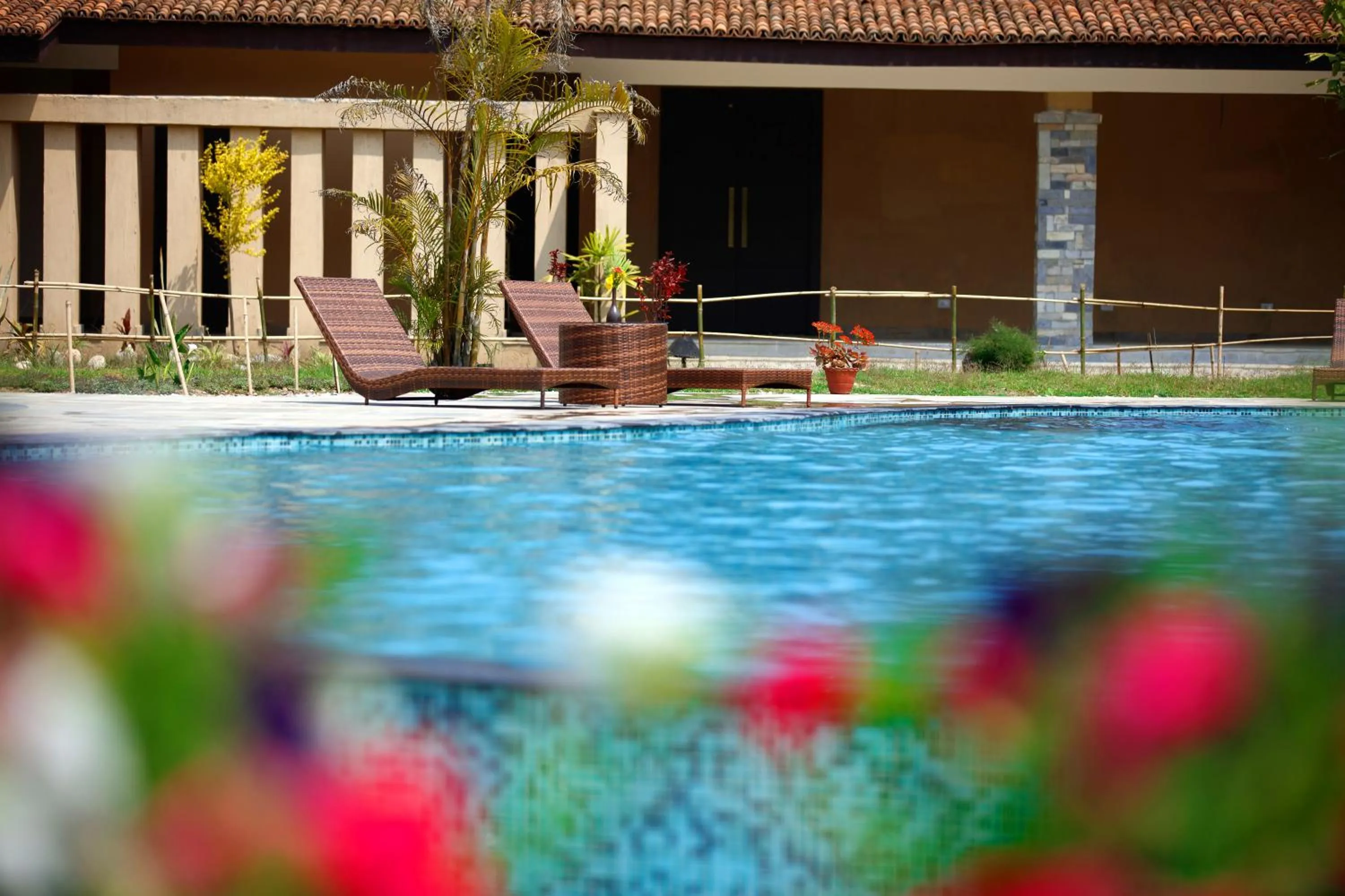 Swimming pool in Jungle Villa Resort - Near Chitwan National Park