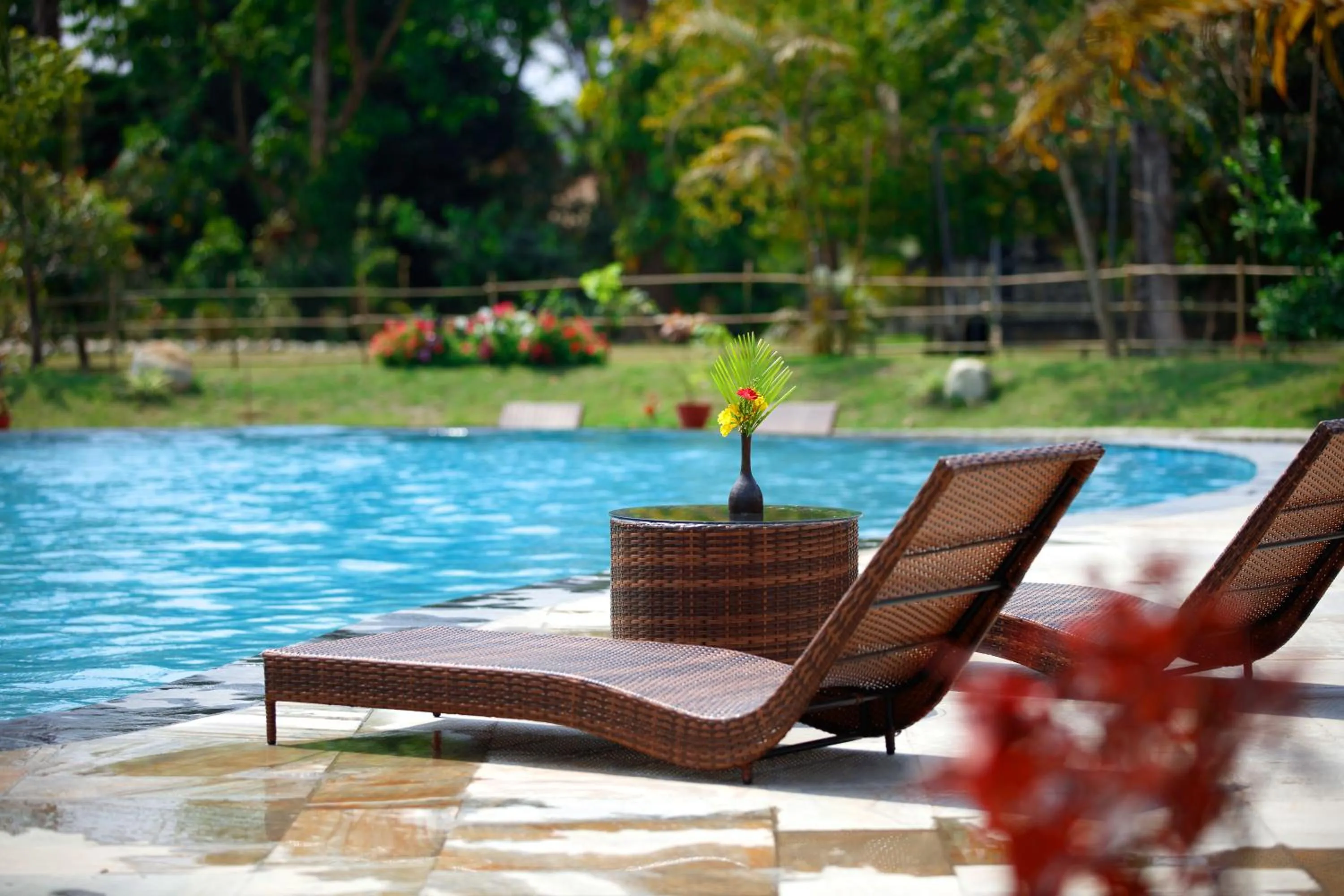 Swimming pool in Jungle Villa Resort - Near Chitwan National Park