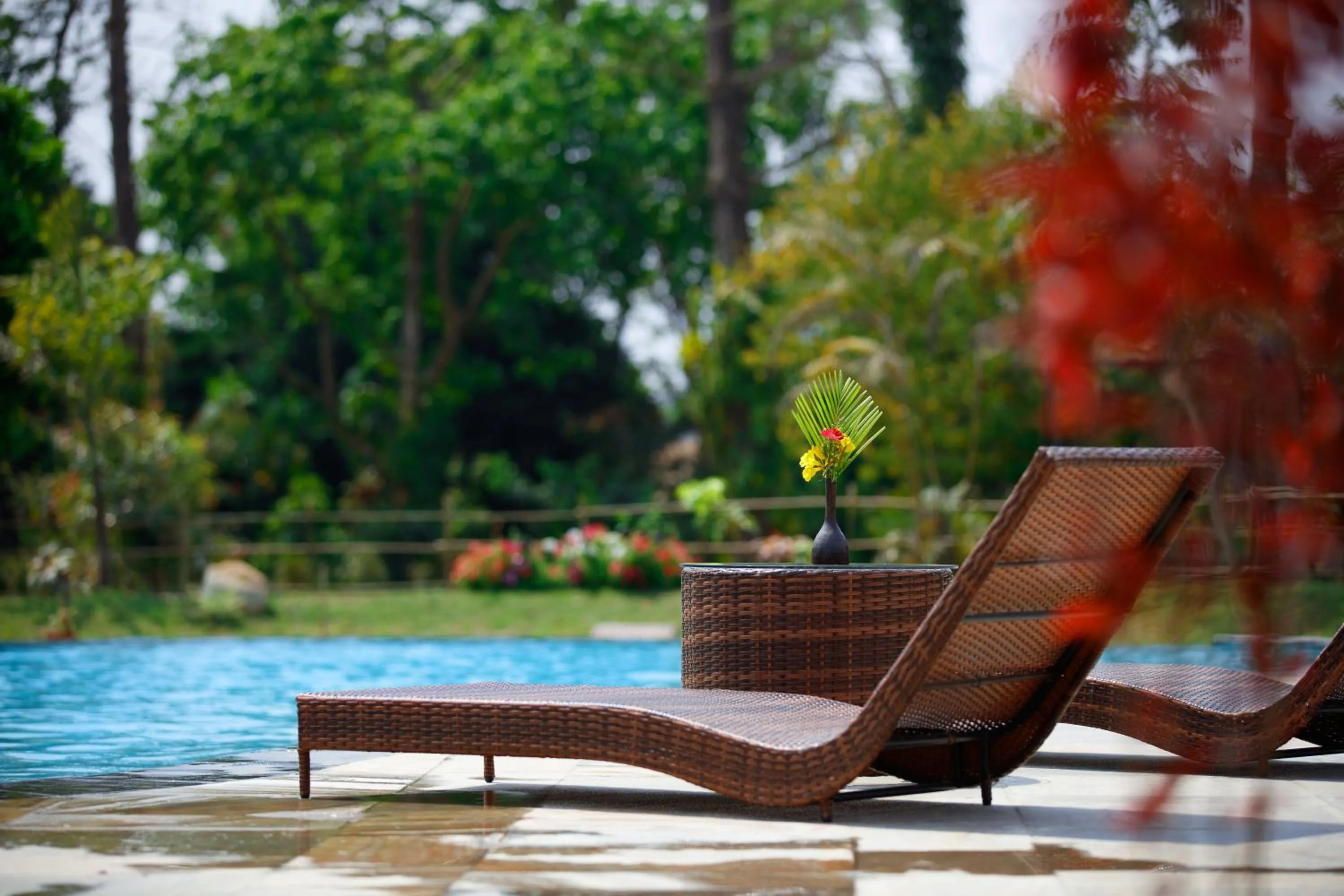 Swimming pool in Jungle Villa Resort - Near Chitwan National Park