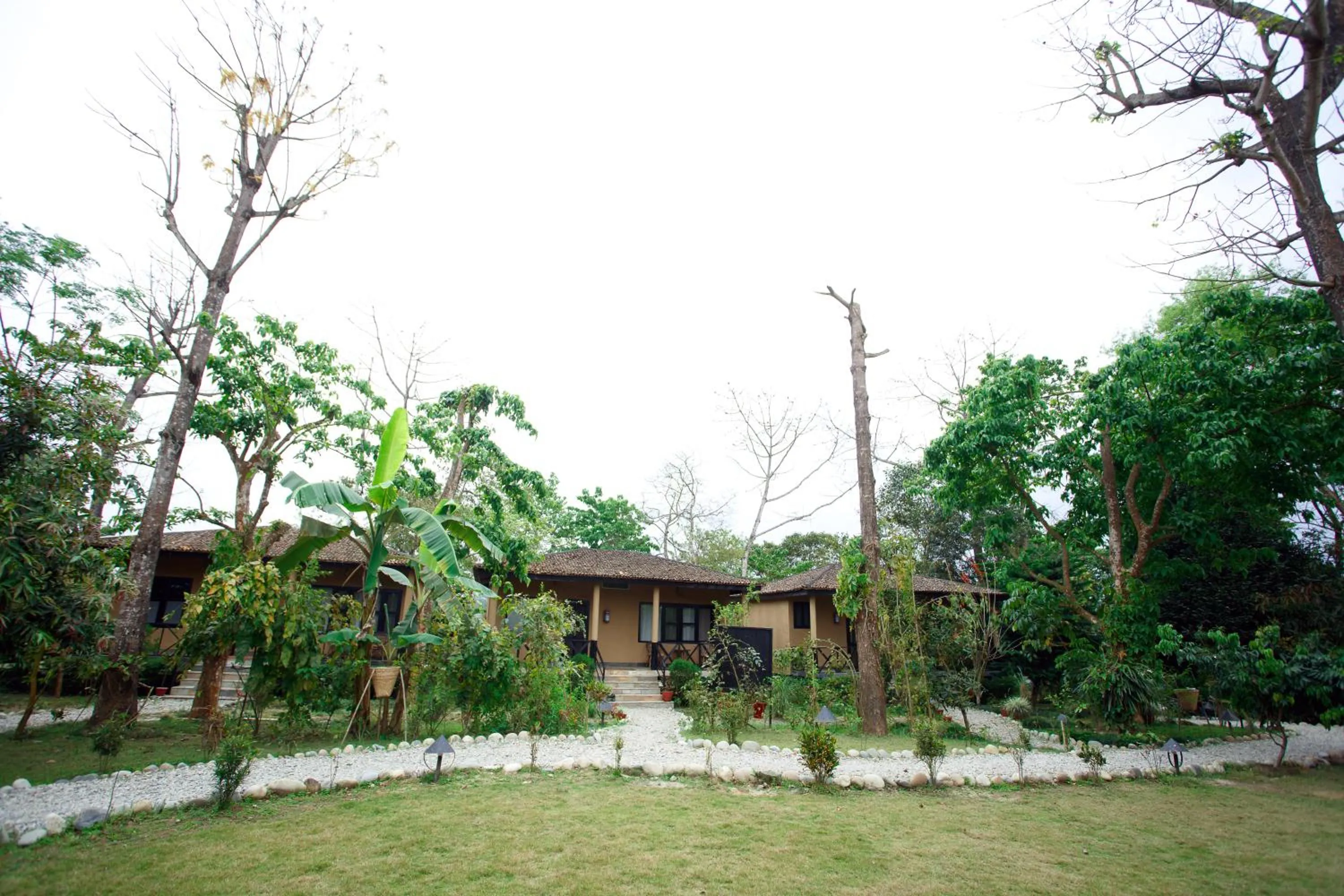 Garden in Jungle Villa Resort - Near Chitwan National Park