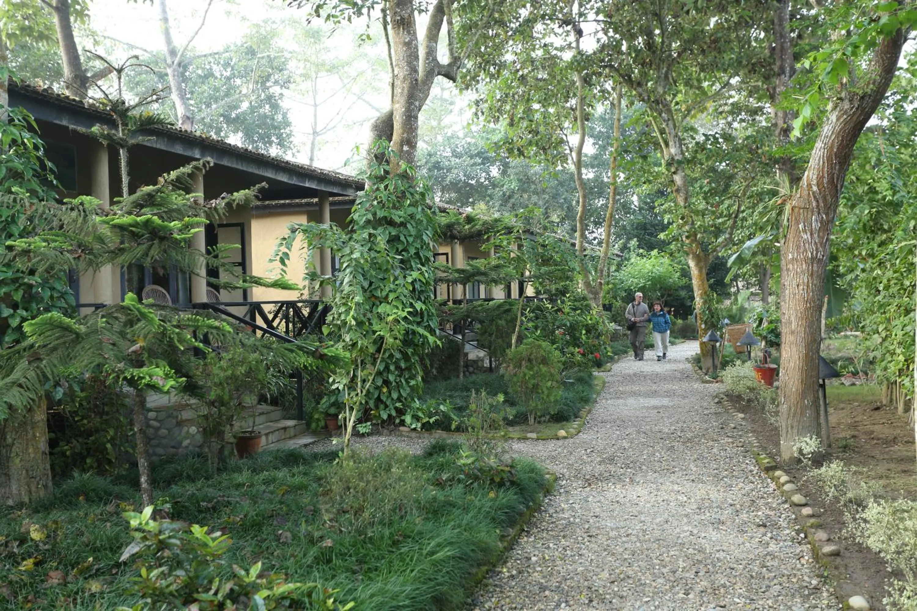 Other in Jungle Villa Resort - Near Chitwan National Park