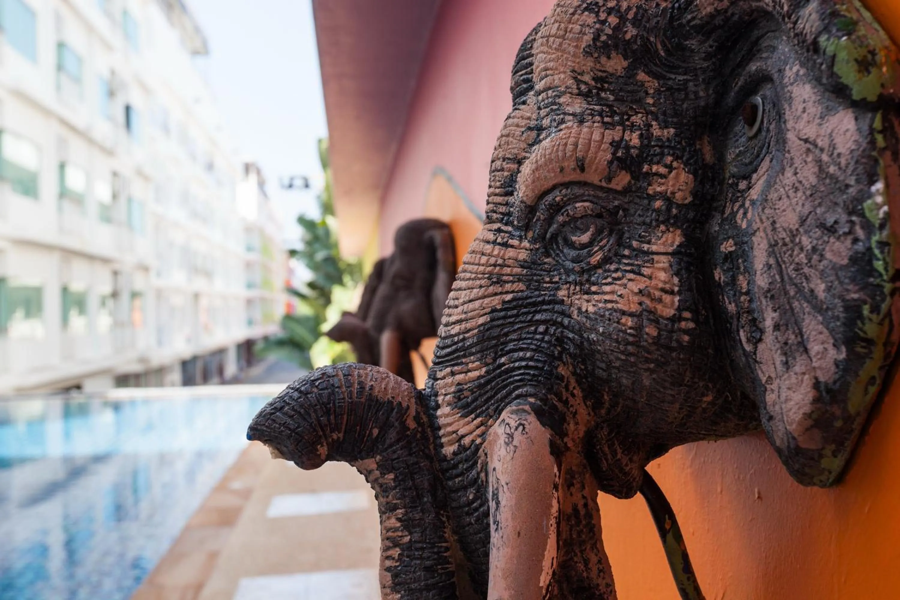 Swimming pool in Baumancasa Beach Resort