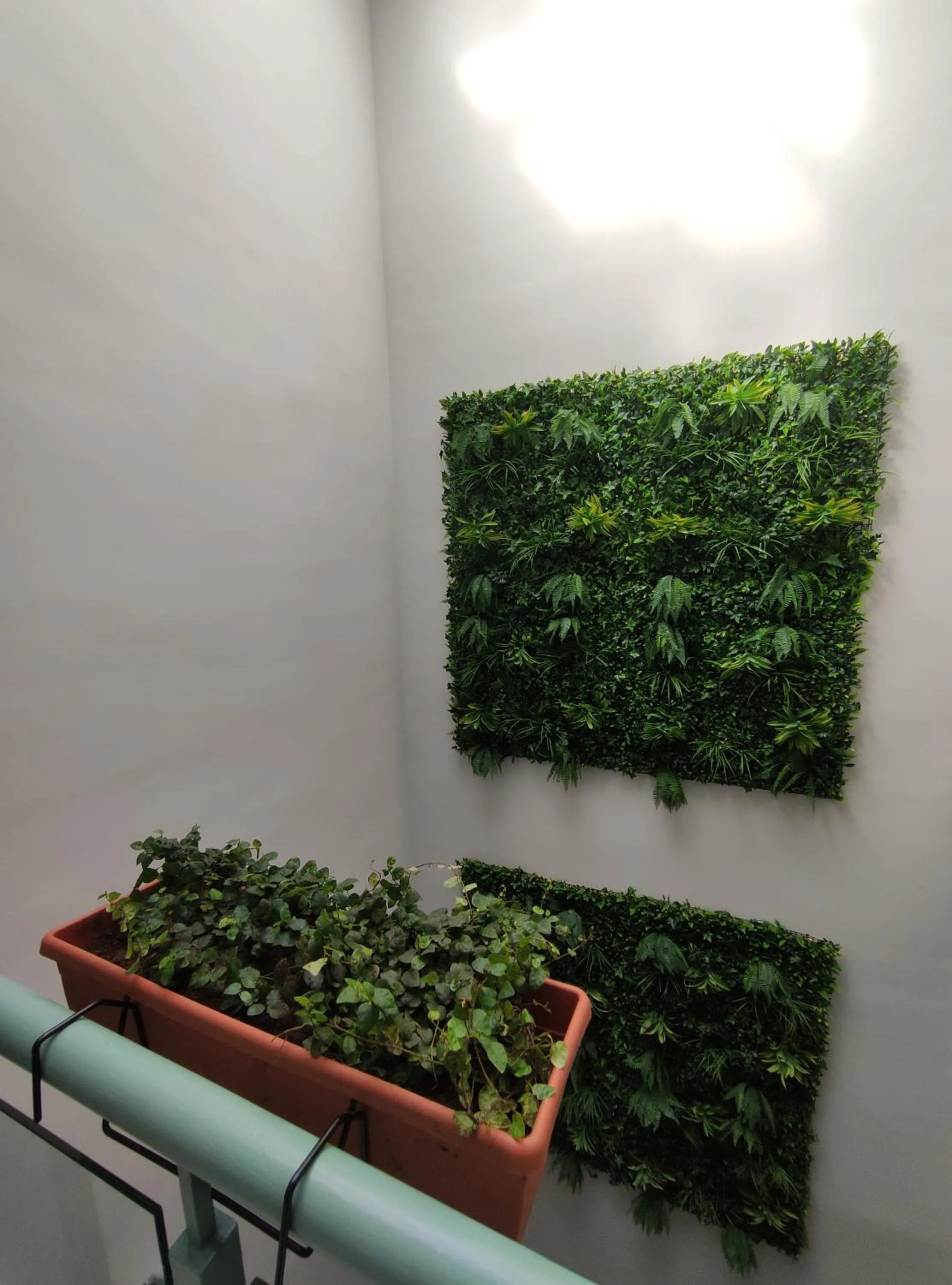 Decorative detail in New Samay Hostel