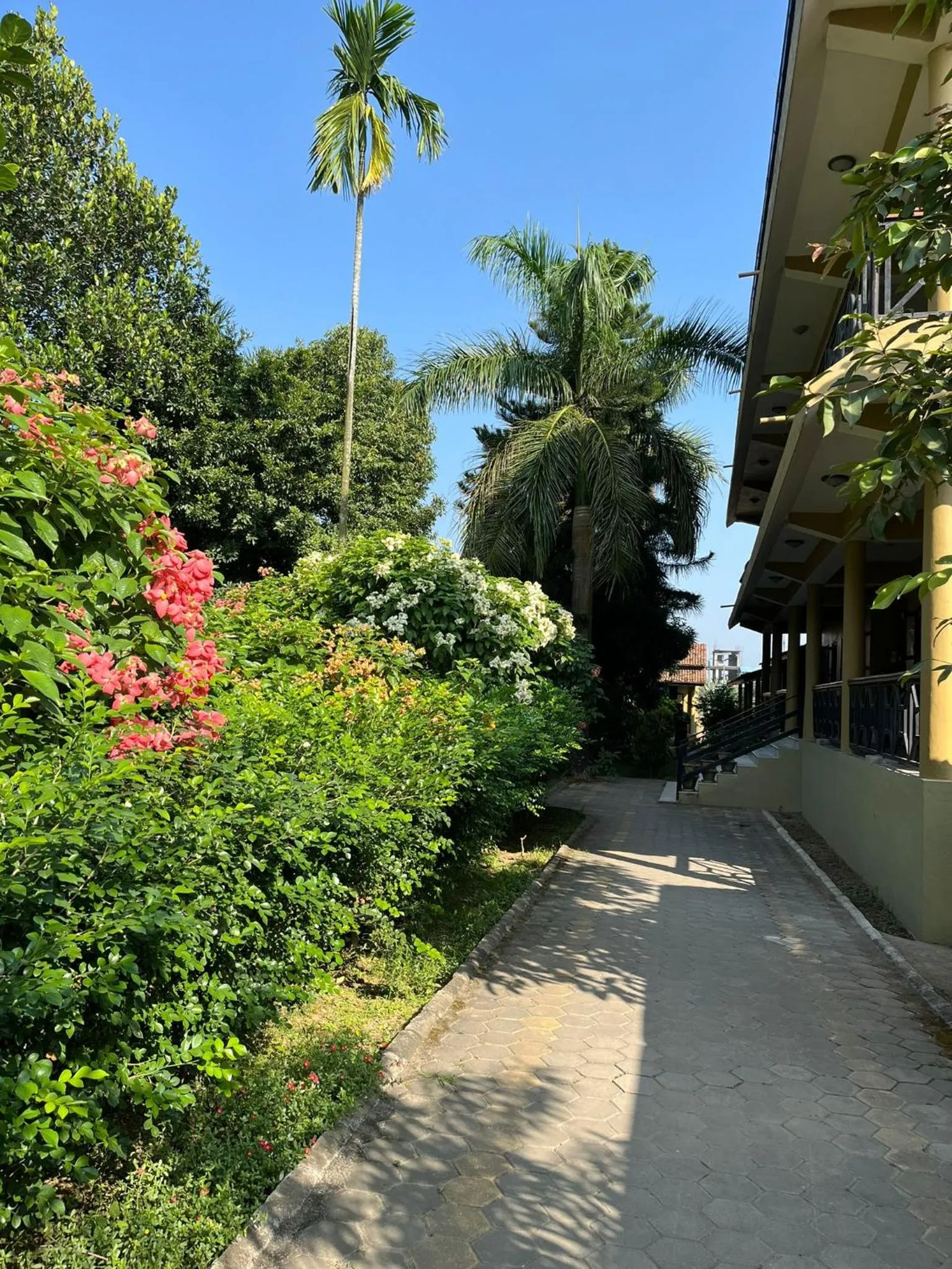 Property building in Tiger Residency Resort