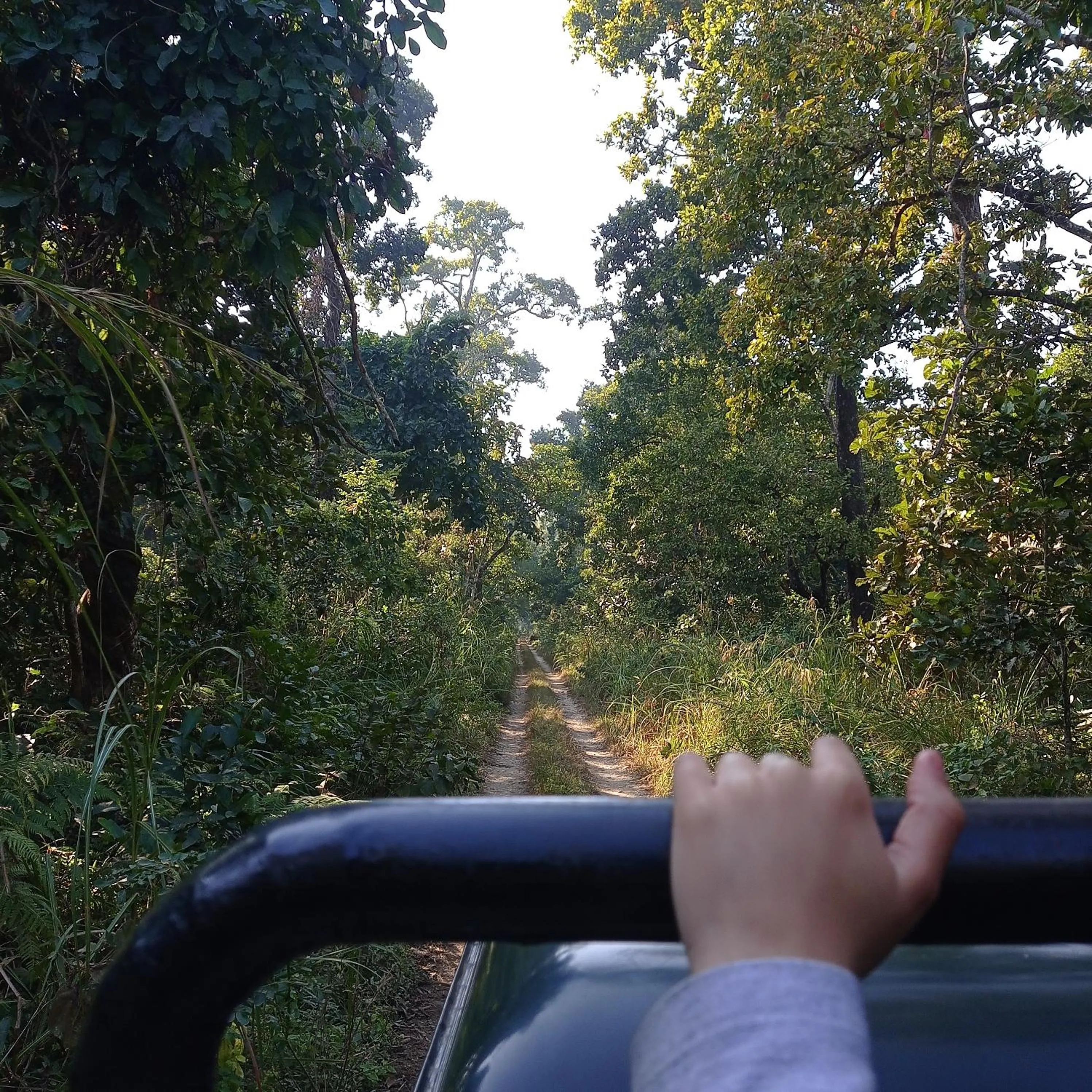 Tiger Residency Resort