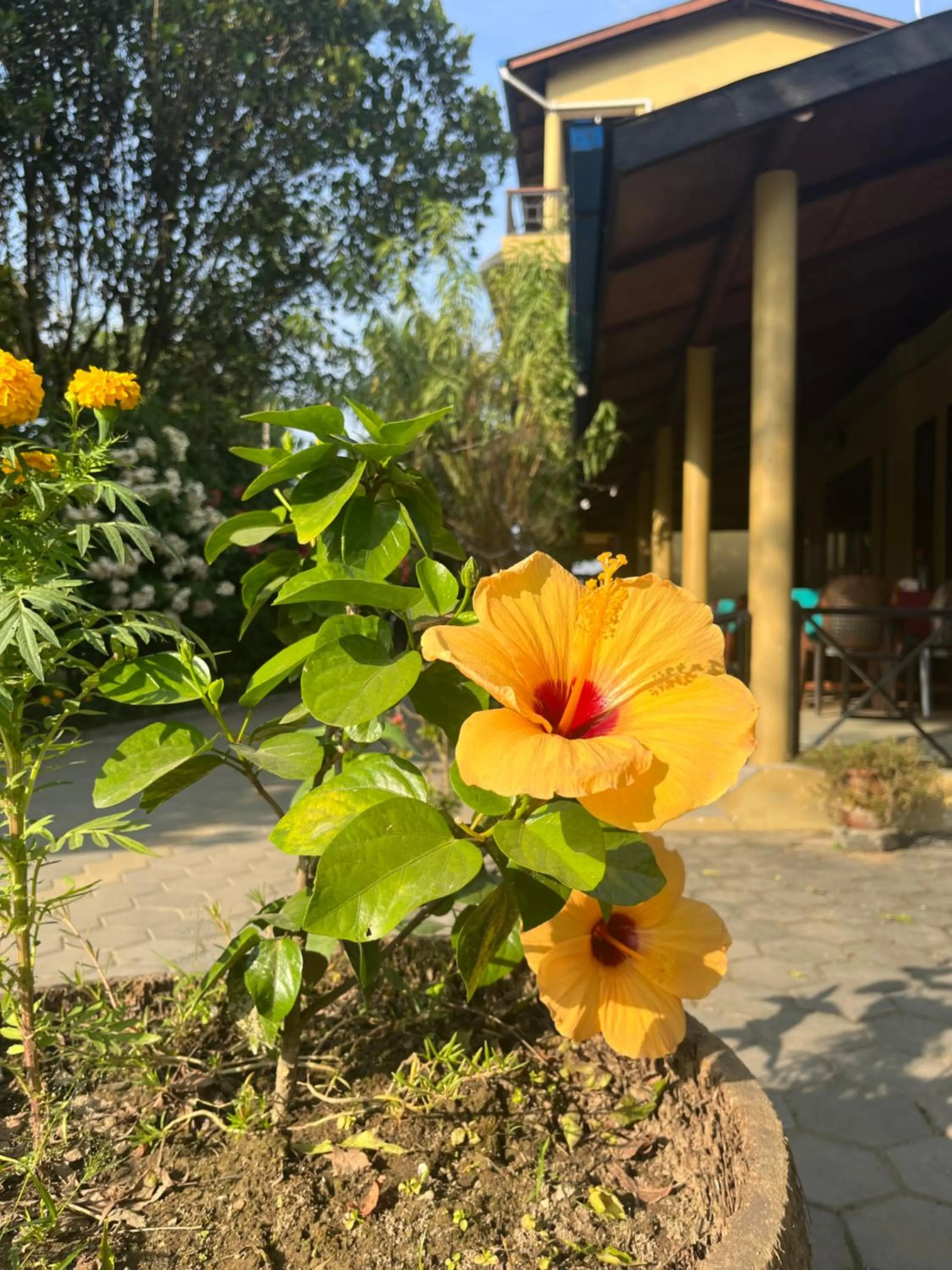 Spring in Tiger Residency Resort