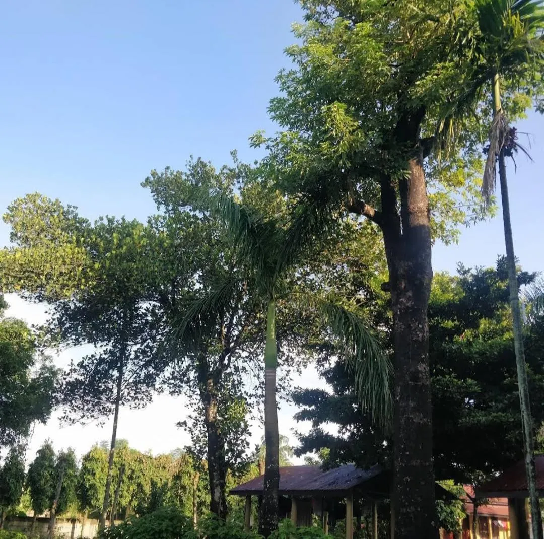 Tiger Residency Resort