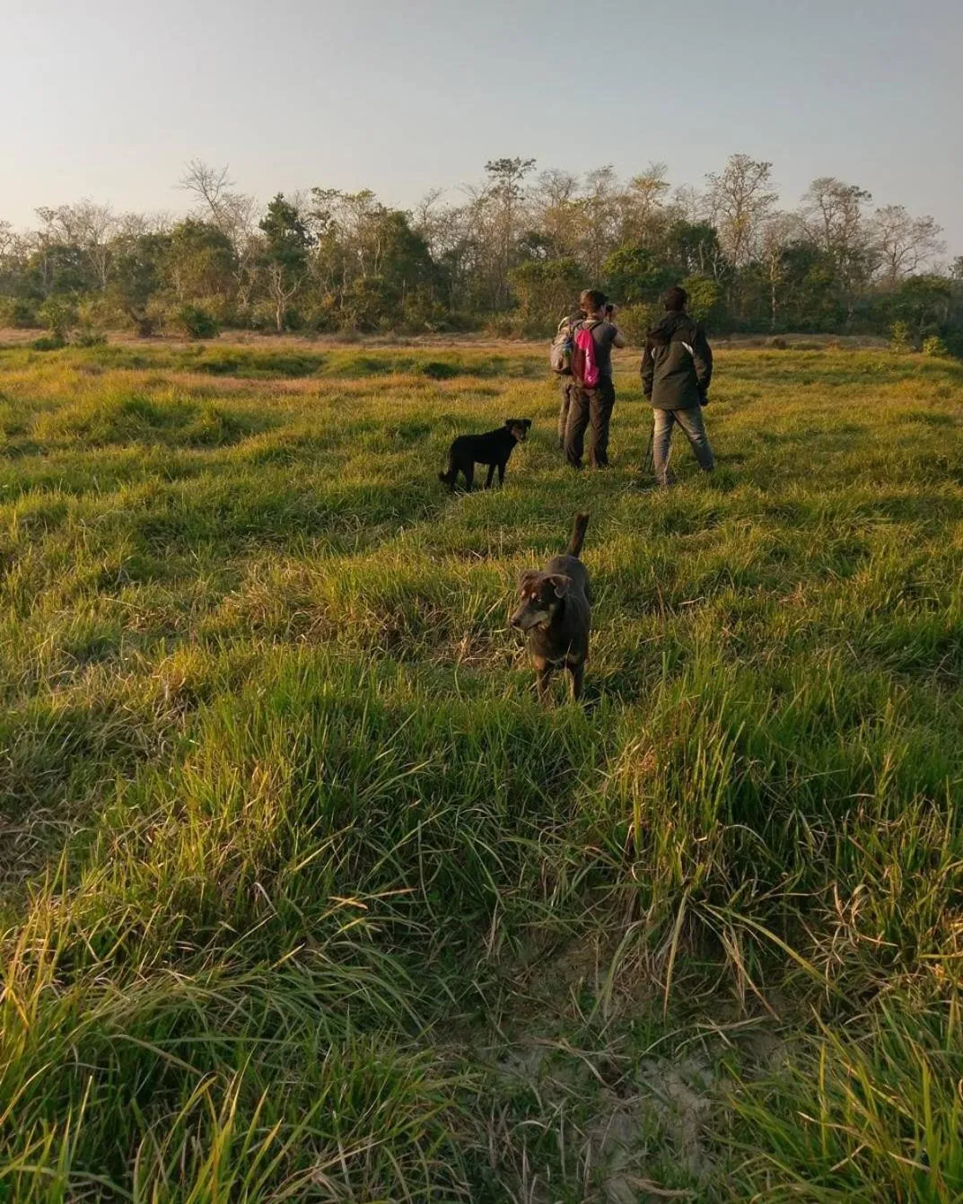 Tiger Residency Resort