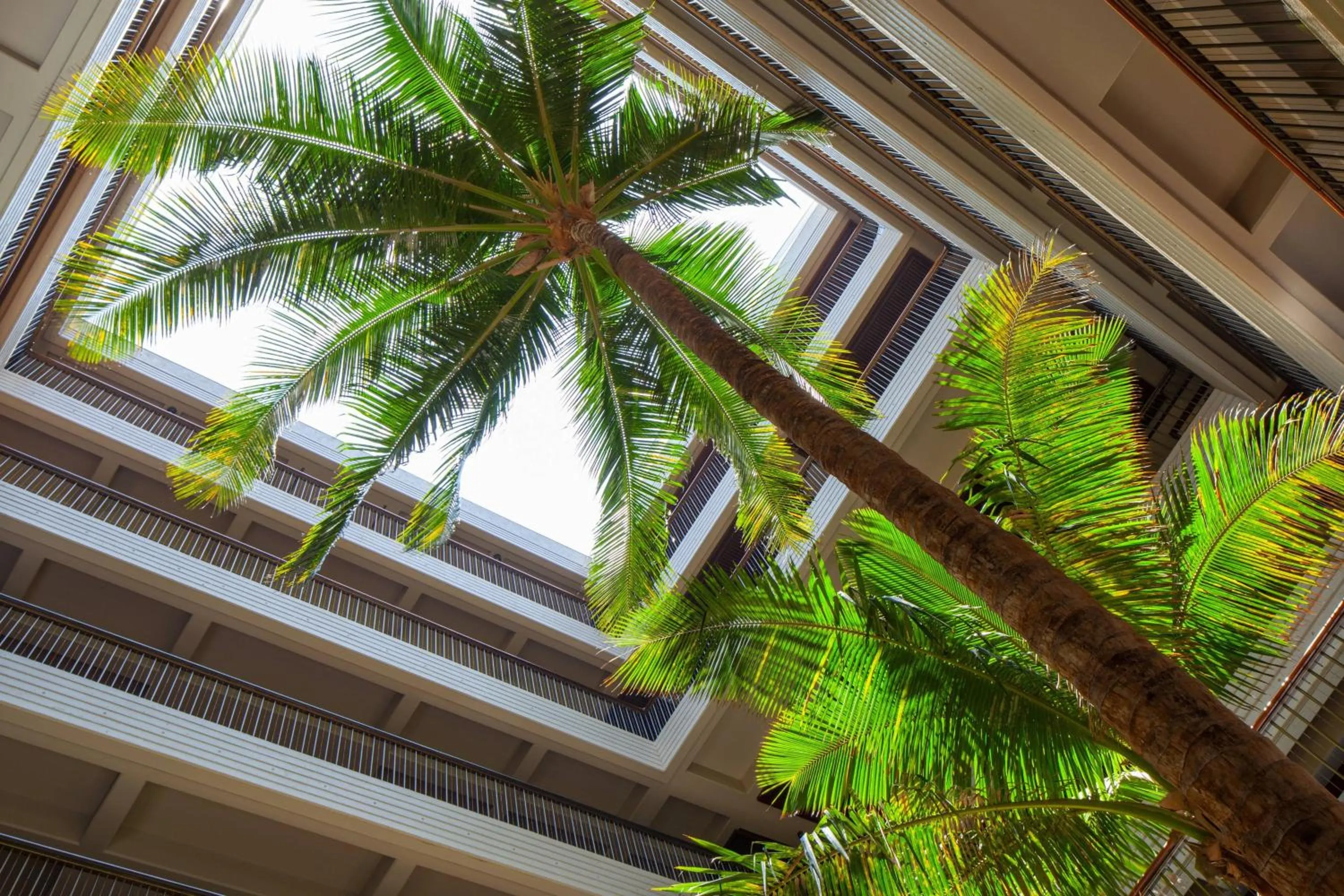 Beach in Mauna Kea Beach Hotel, Autograph Collection