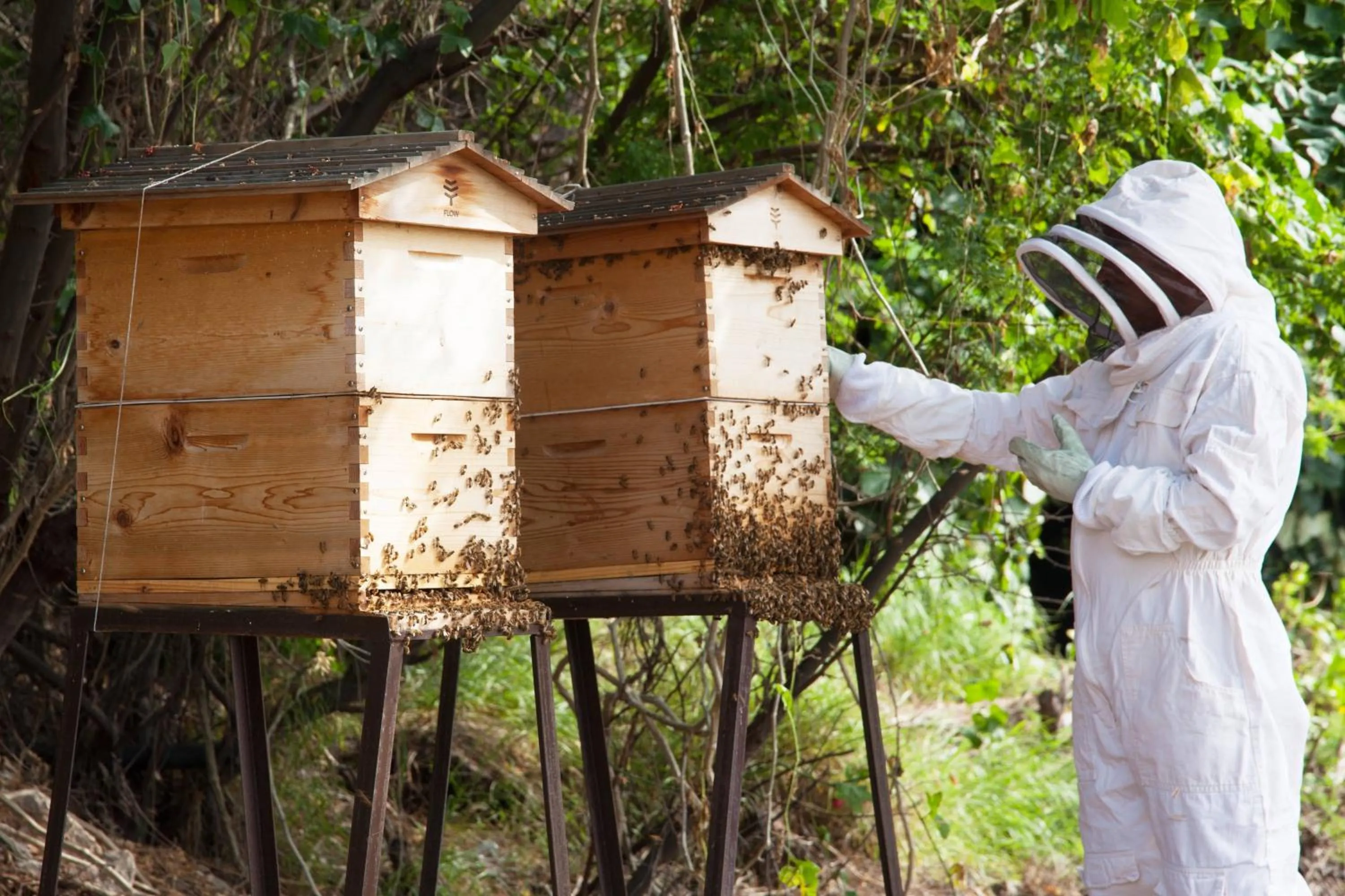 Other in Mauna Kea Beach Hotel, Autograph Collection