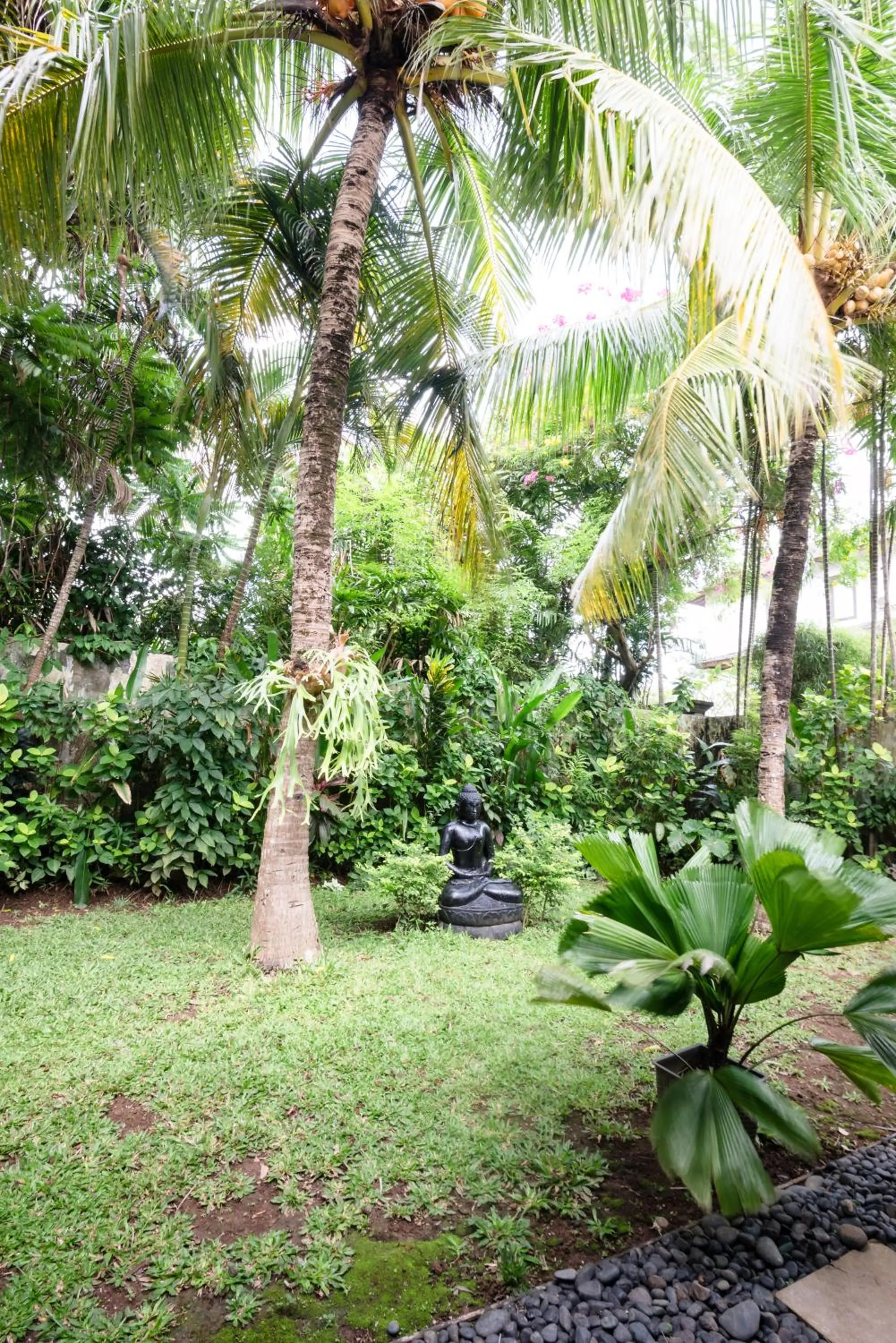 Garden in Dream View Villa