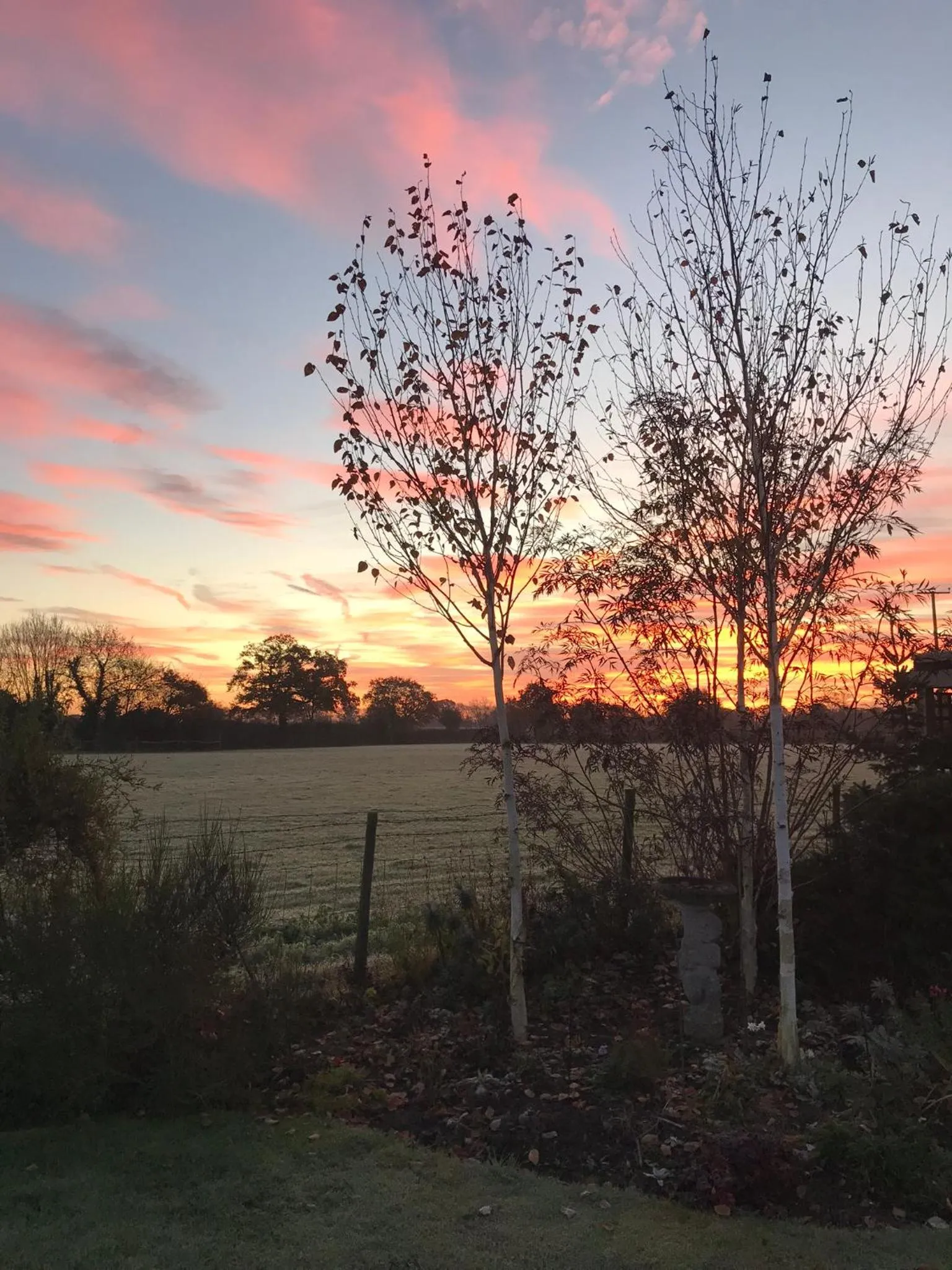 Garden view in Fair View