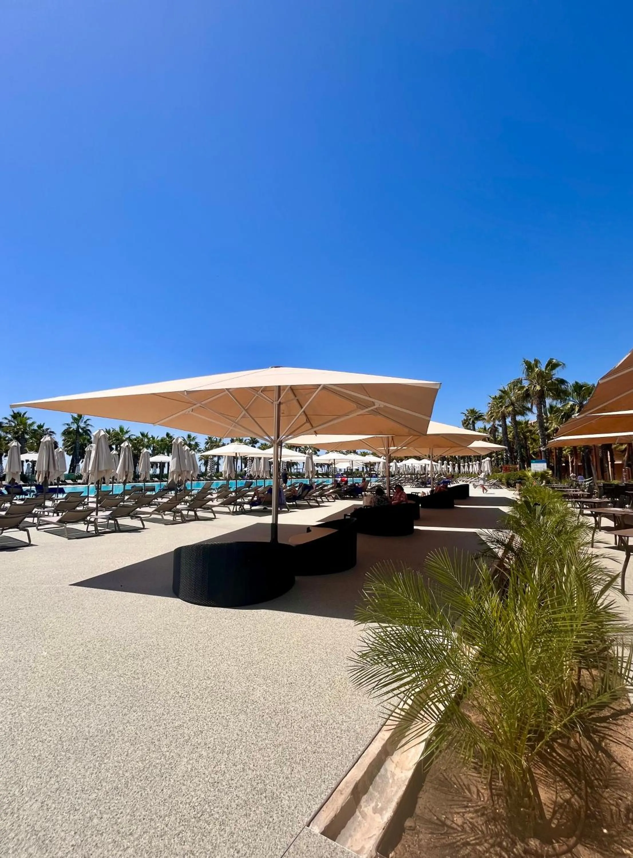 Restaurant/places to eat in VidaMar Resort Hotel Algarve