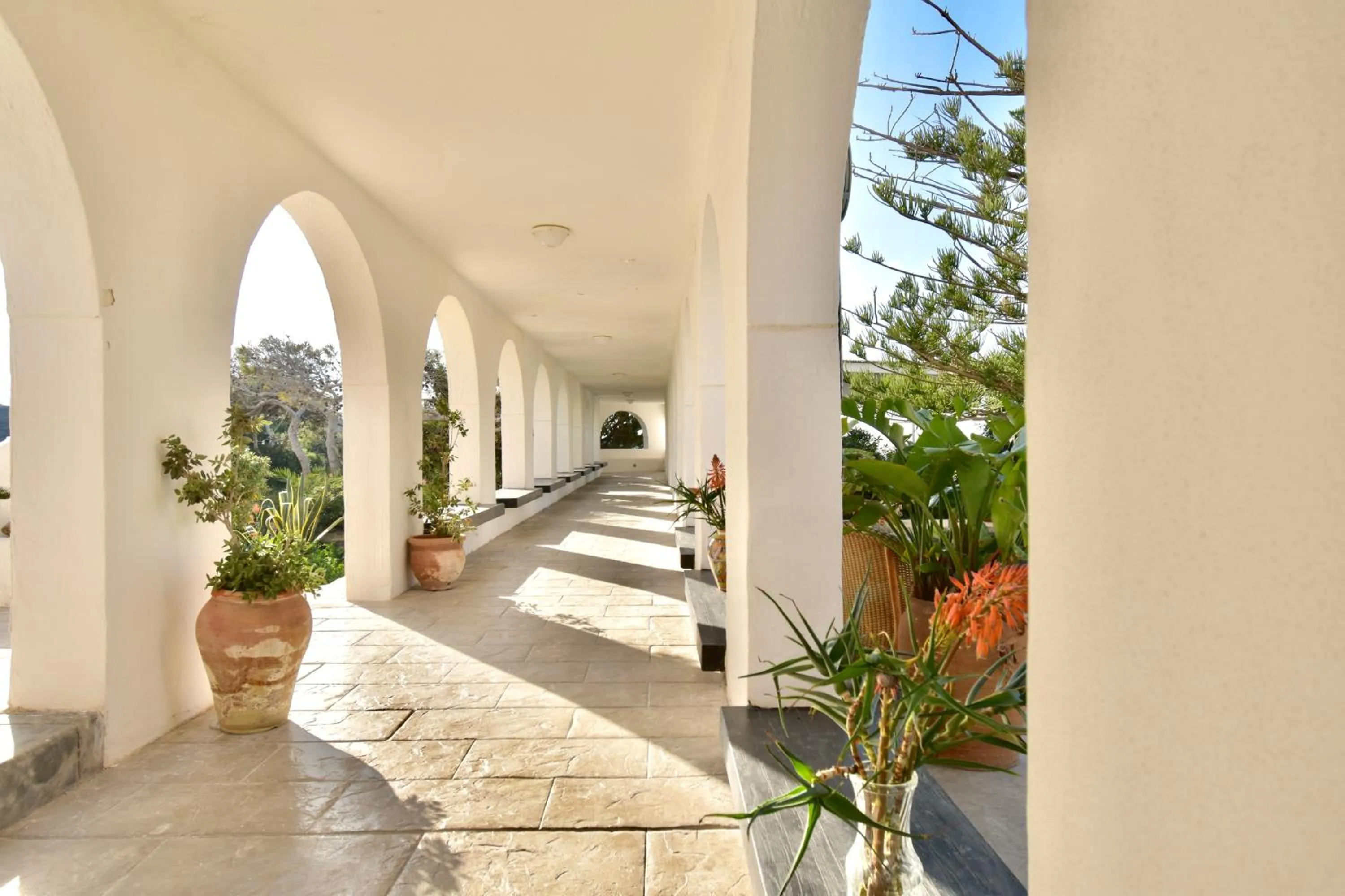 Patio in Cossyra Hotel