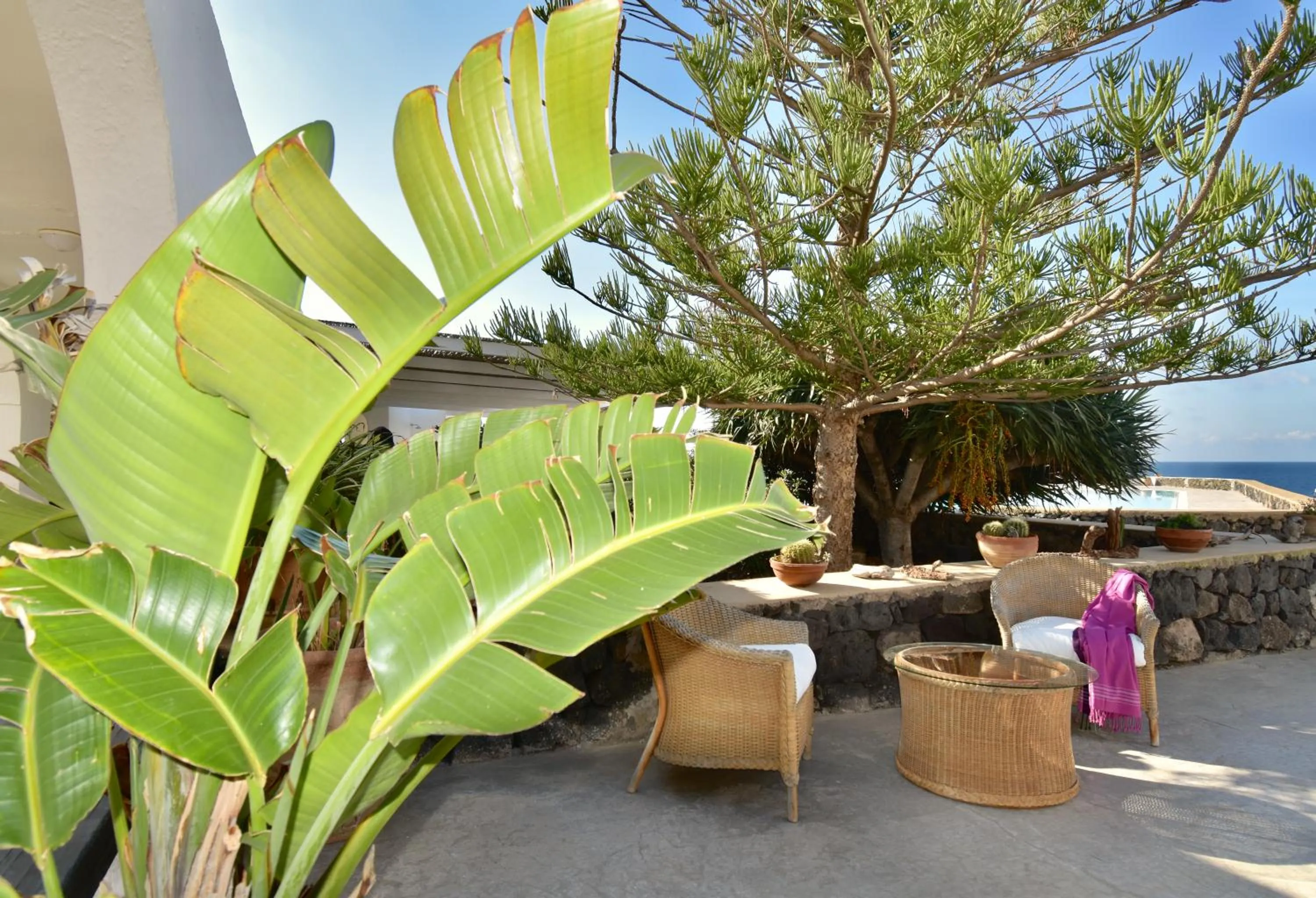 Garden in Cossyra Hotel