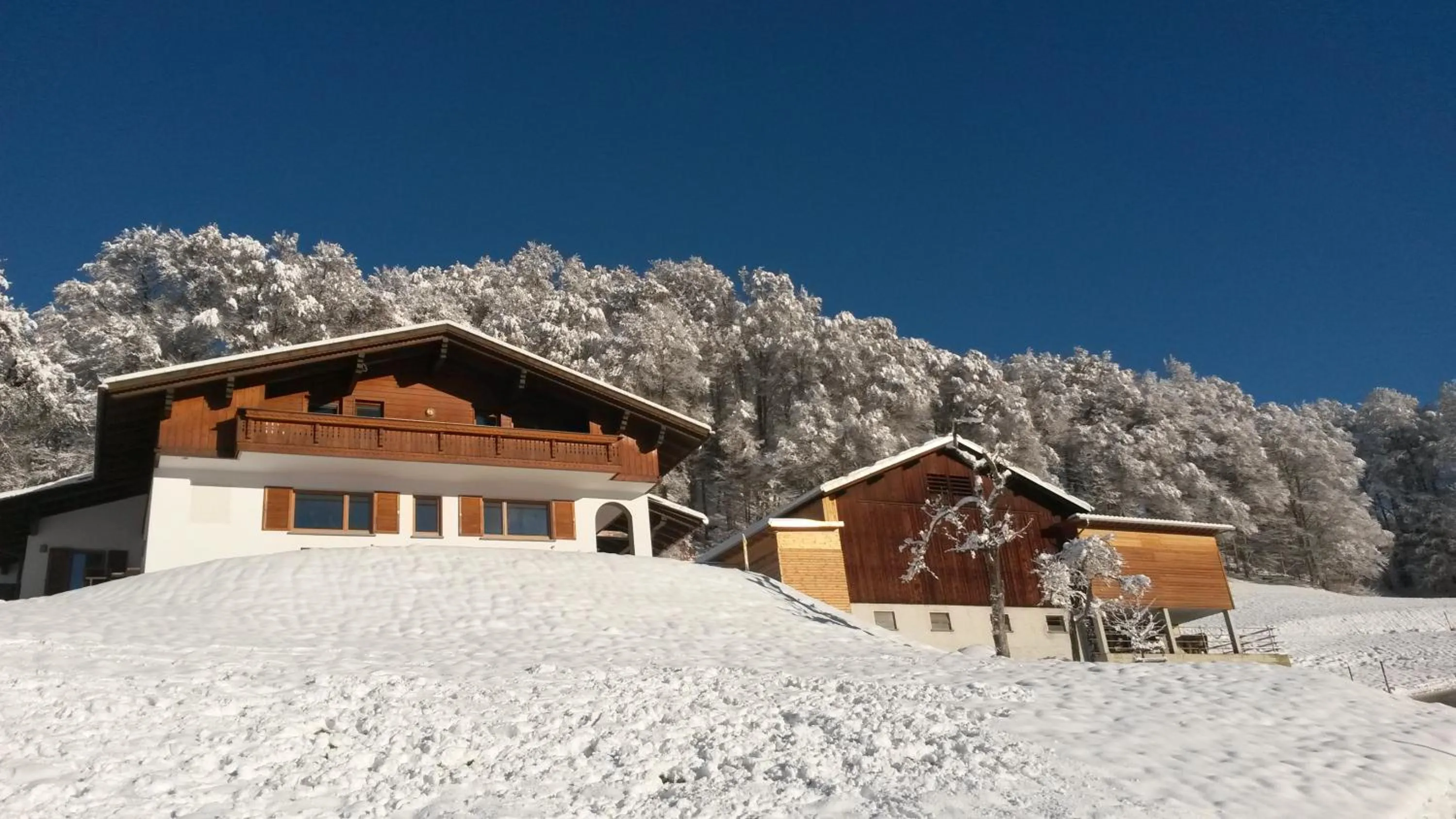 Winter in Ferienwohnung Därflihof