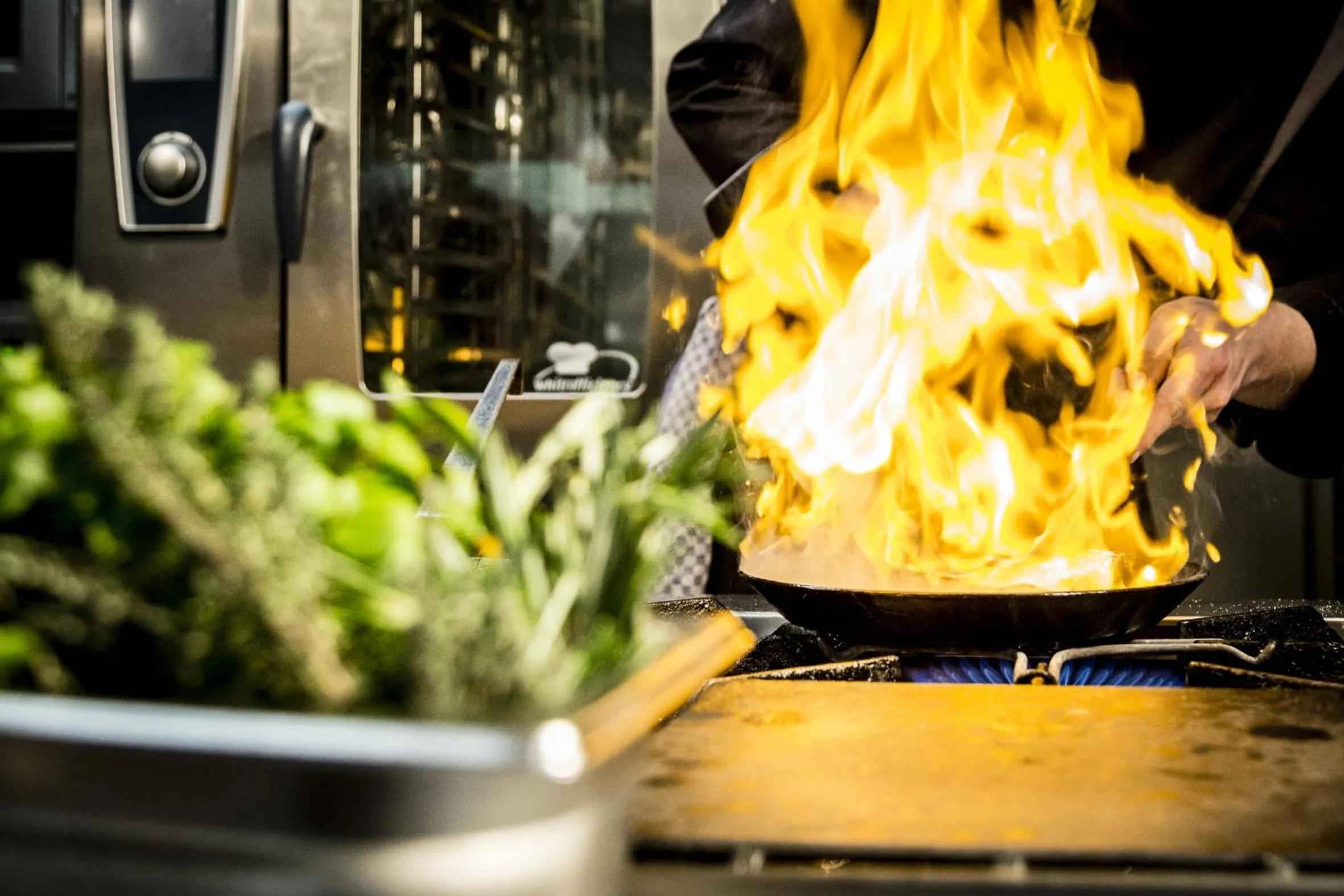 Food in Hotel Zum Zollhaus