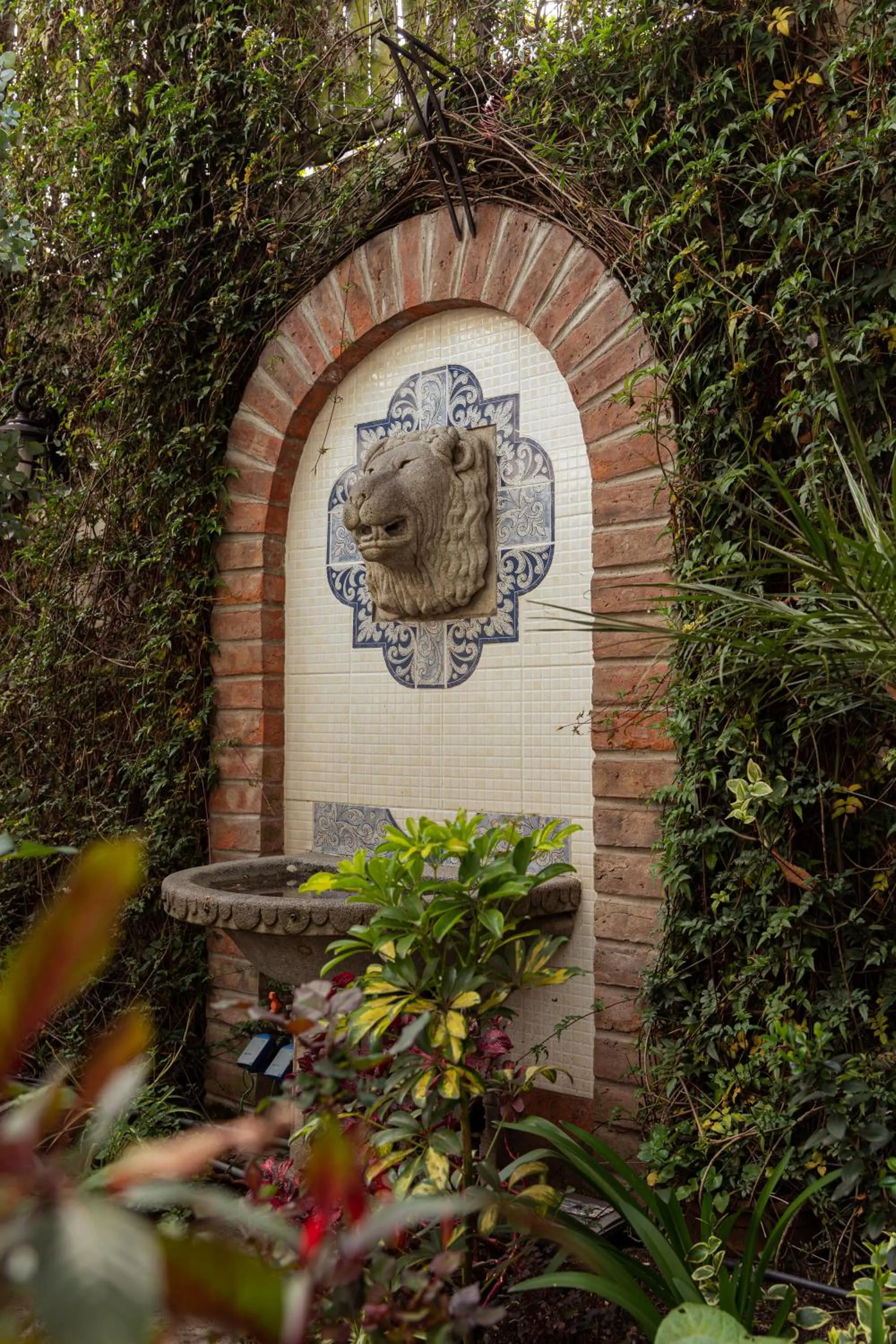 Garden in Mansion Alcazar