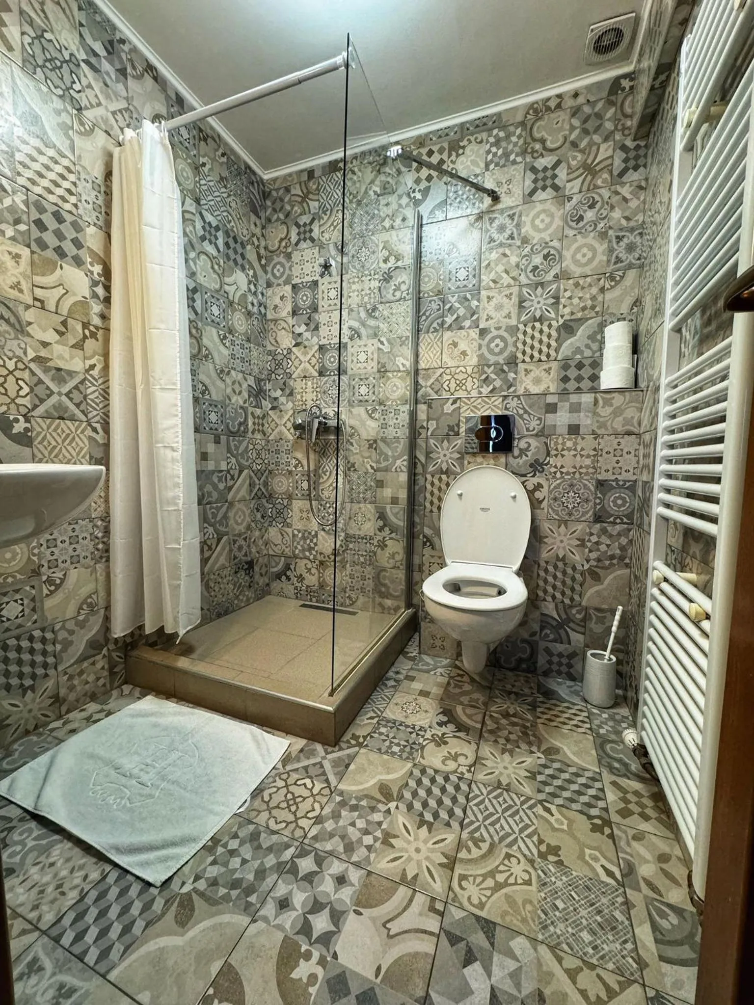 Shower in Pensiunea Pictorilor