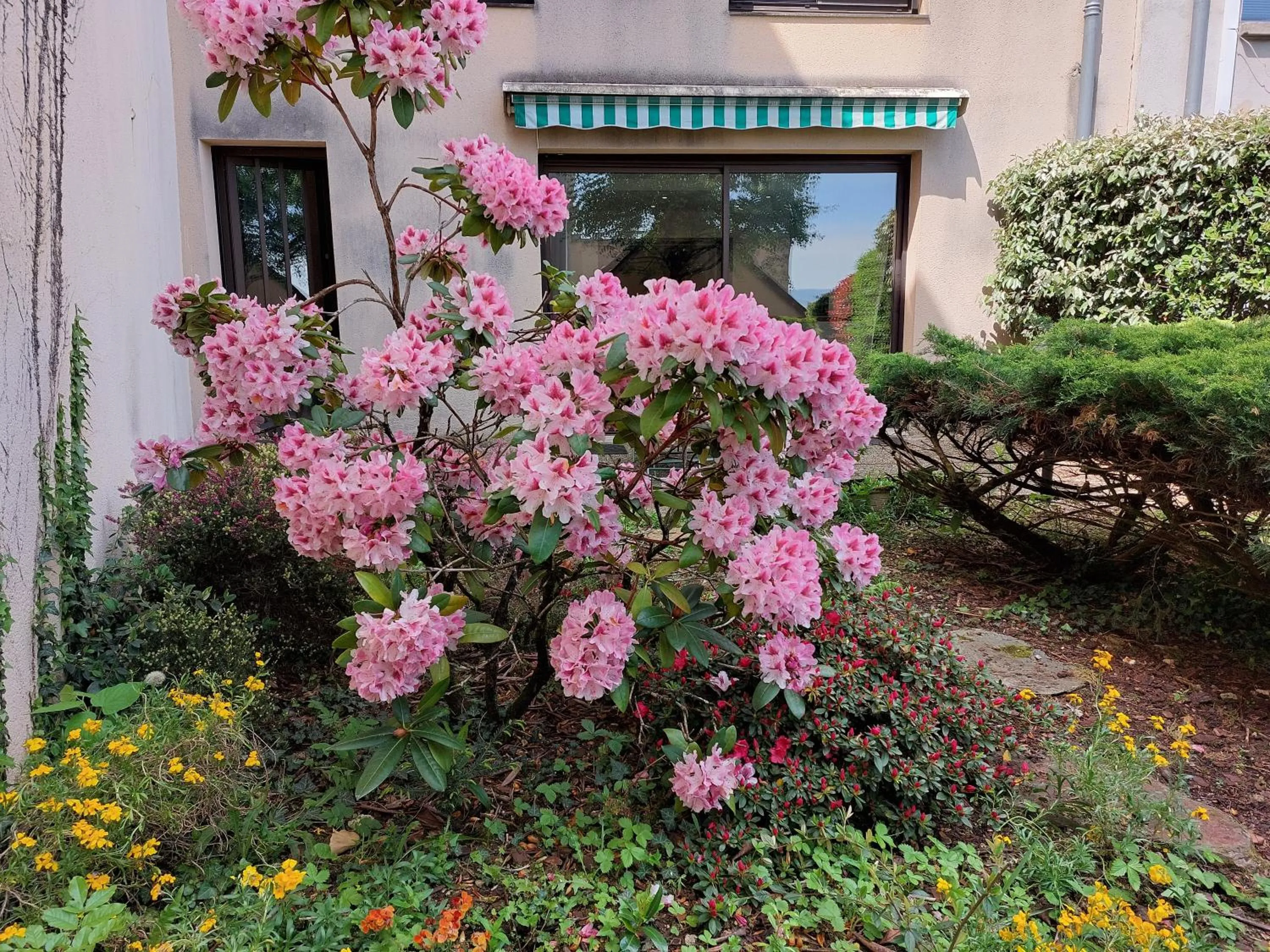 Garden in Le DenysPuech 55m2 plein centre avec jardin!