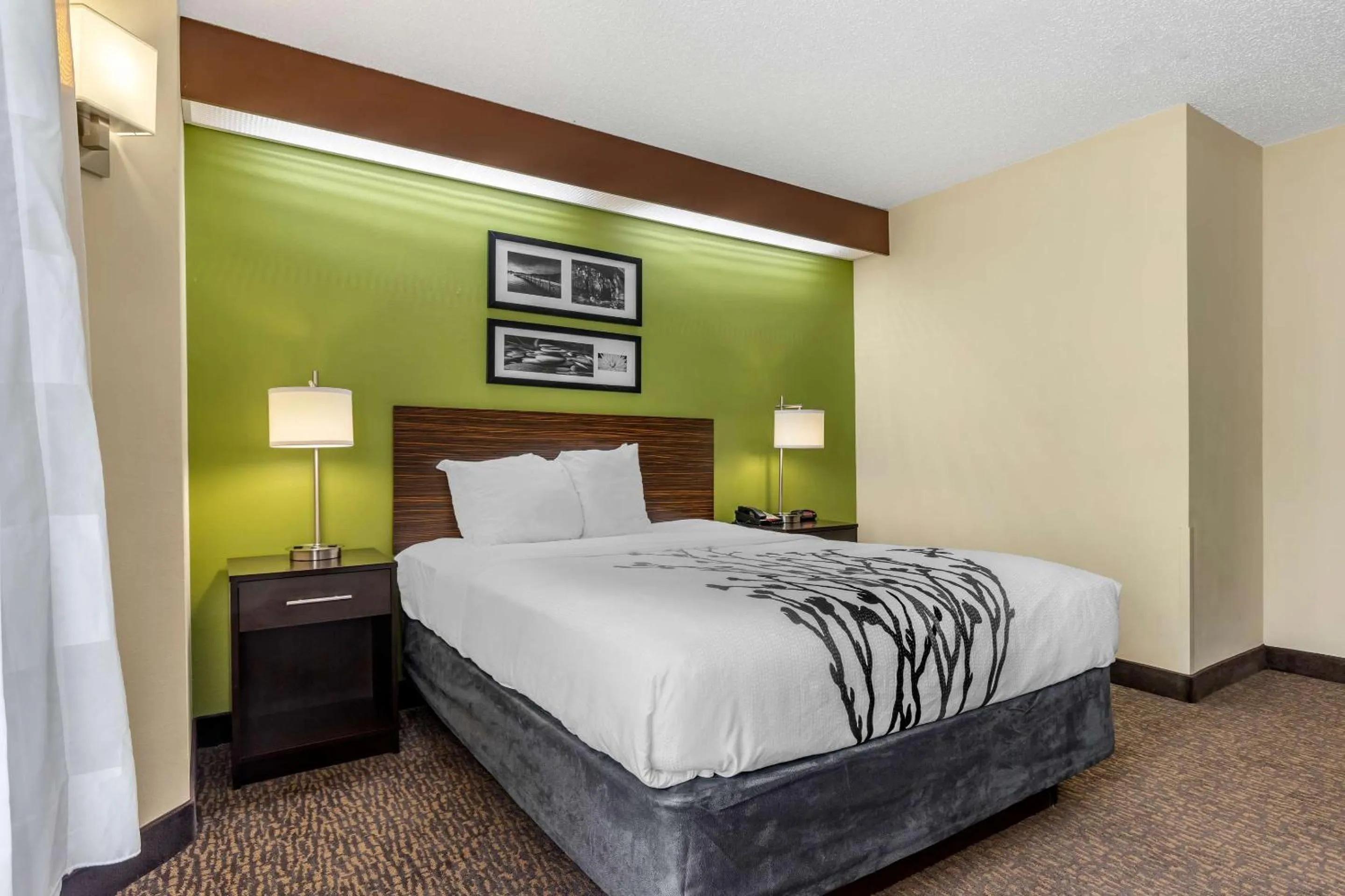 Bedroom, Bed in Sleep Inn Matthews-Charlotte