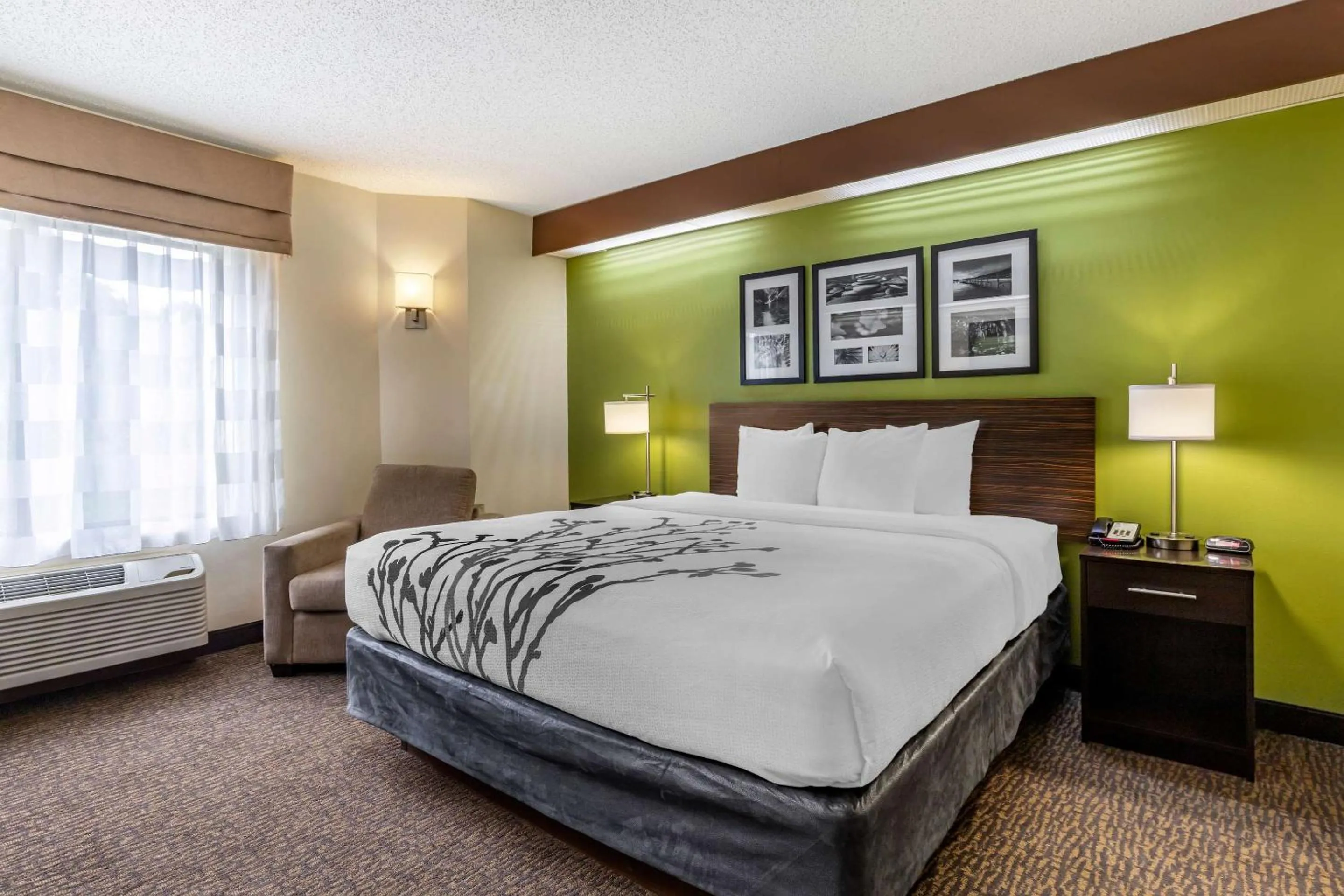 Bedroom, Bed in Sleep Inn Matthews-Charlotte