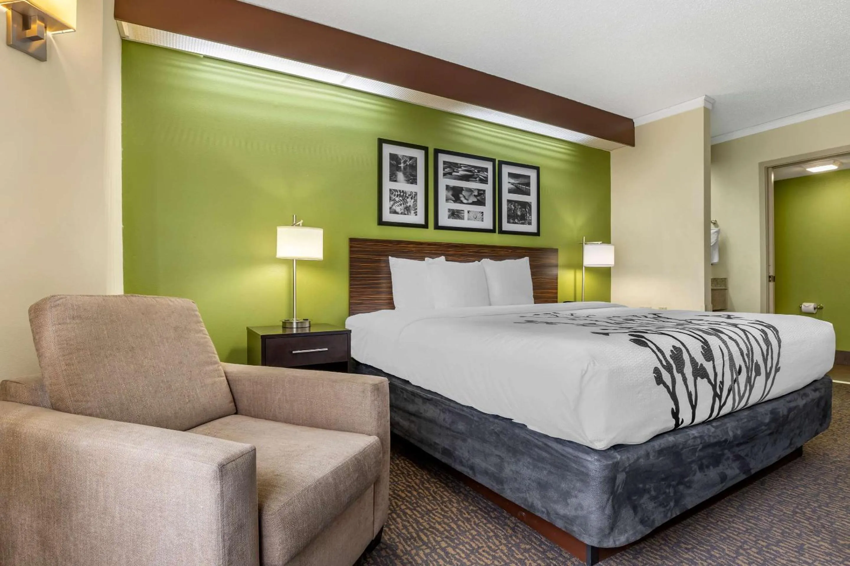 Bedroom, Bed in Sleep Inn Matthews-Charlotte