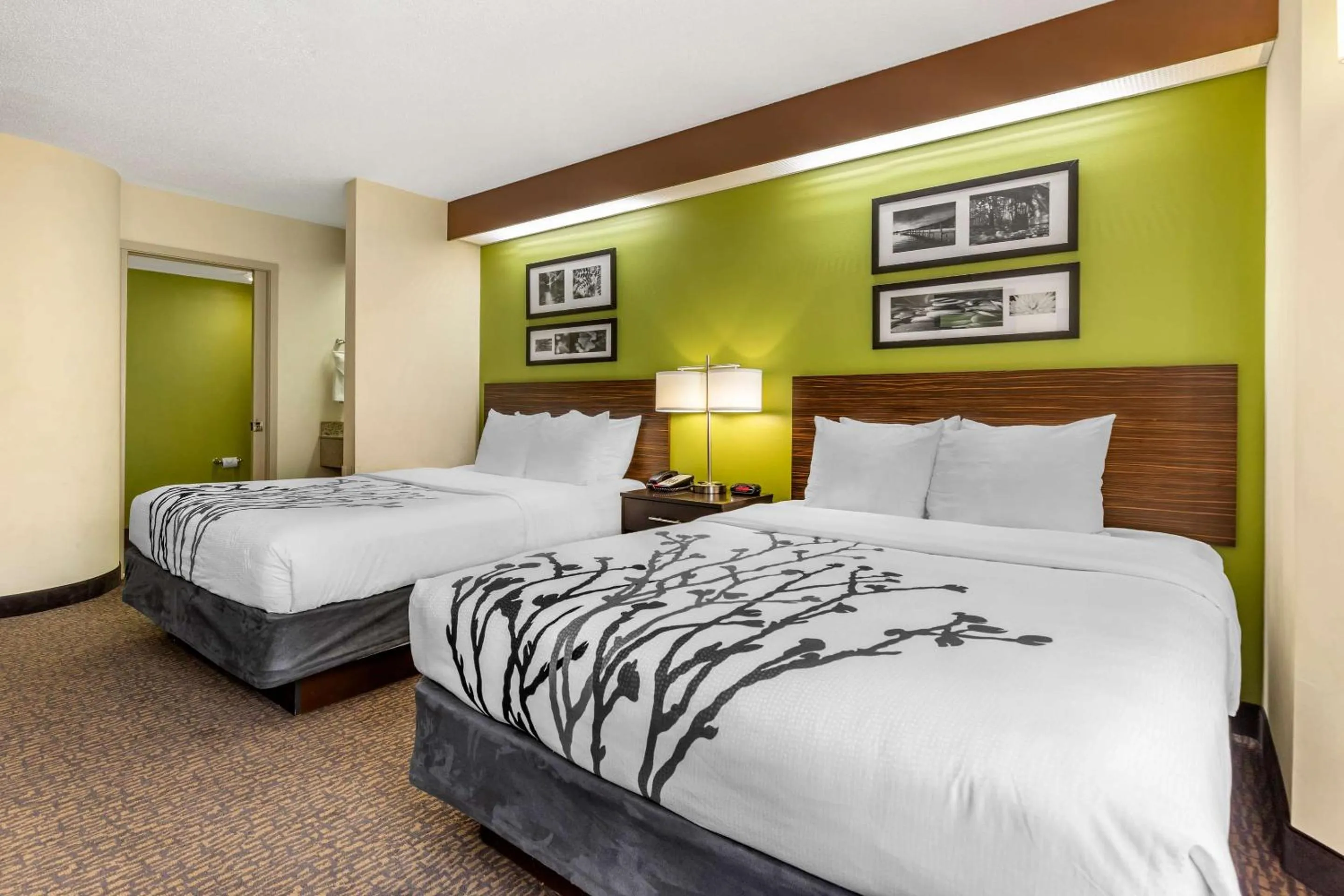 Bedroom, Bed in Sleep Inn Matthews-Charlotte