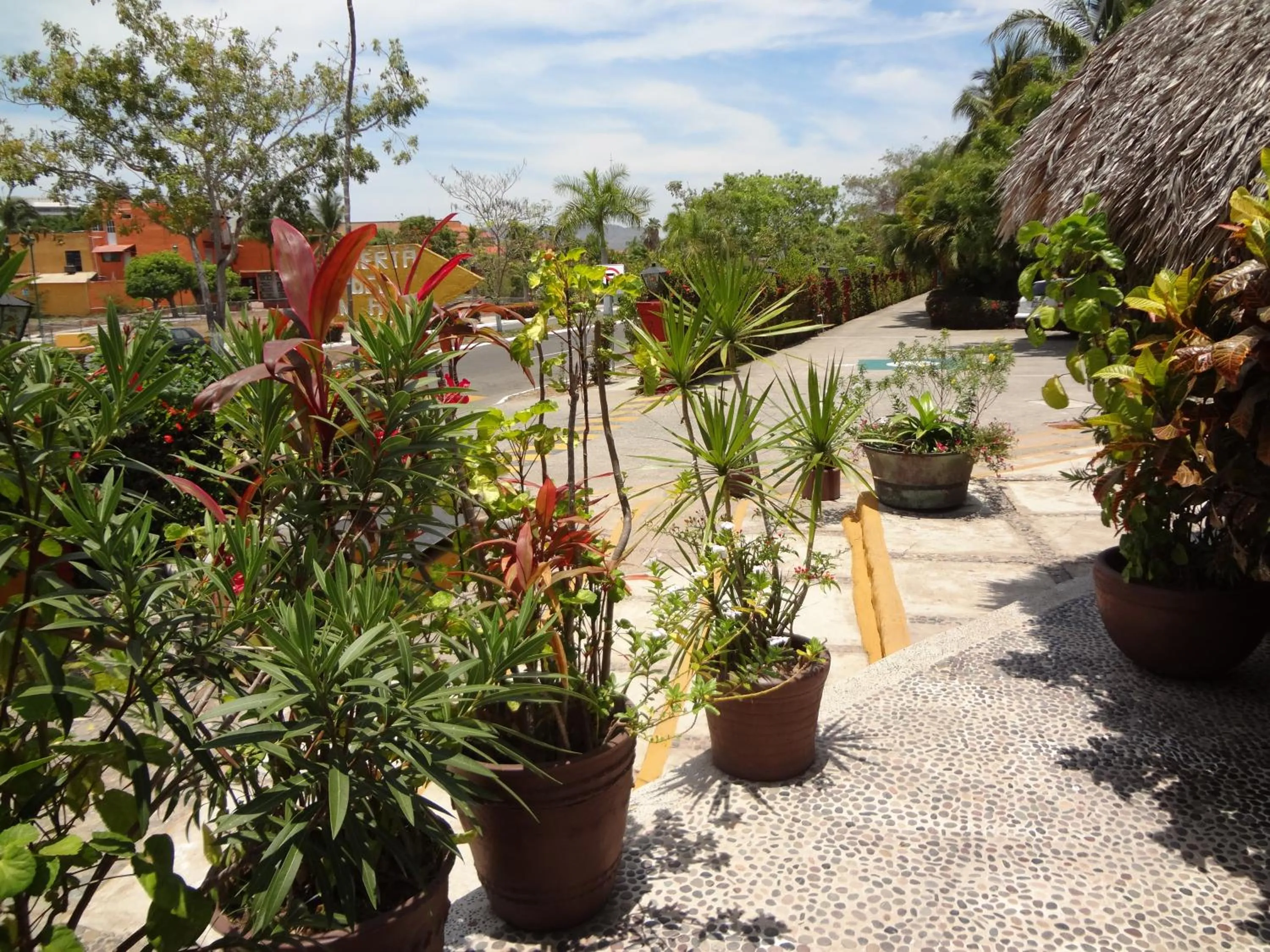 View (from property/room) in Hotel Puerta Del Mar Ixtapa