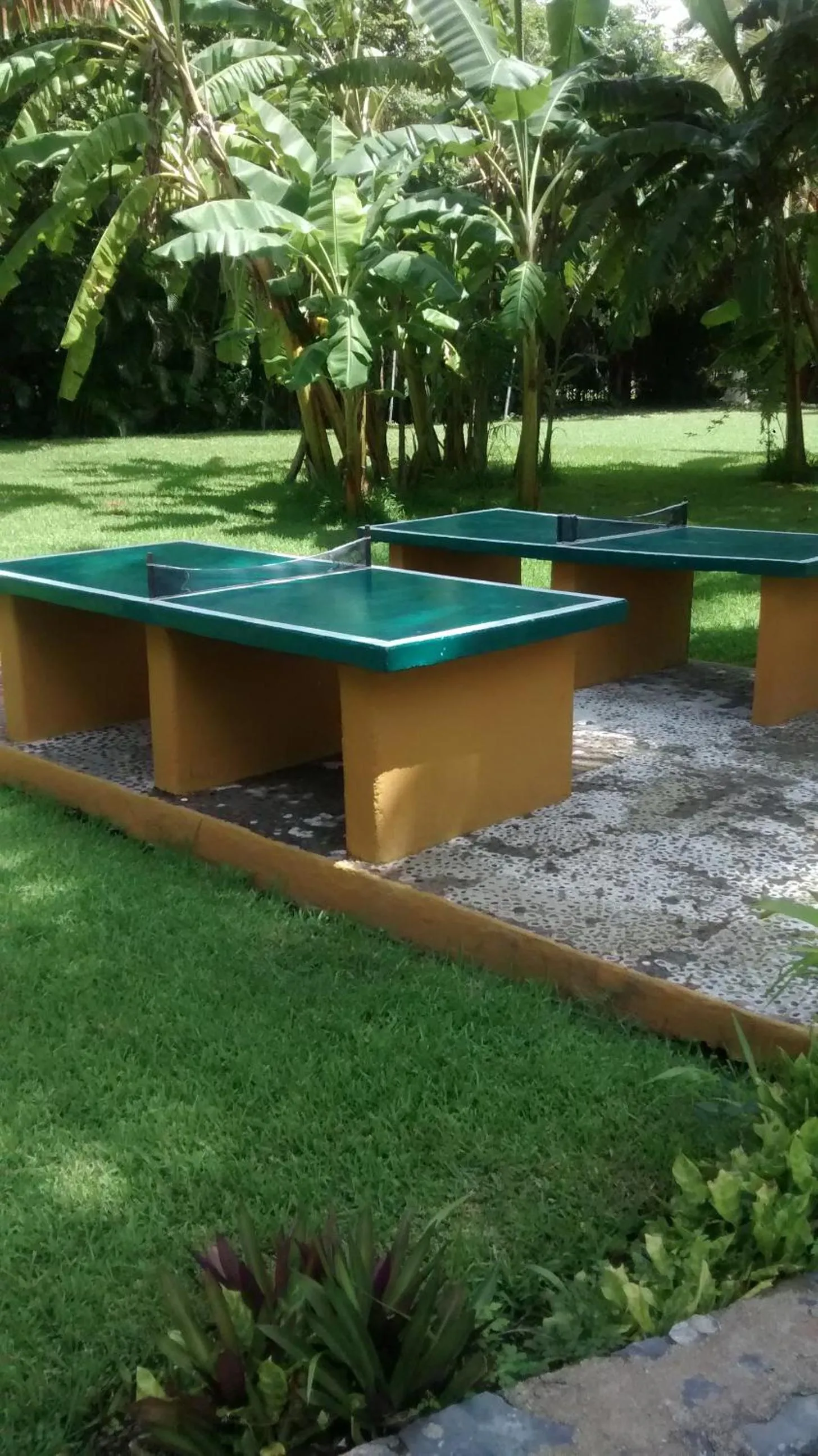 Garden in Hotel Puerta Del Mar Ixtapa
