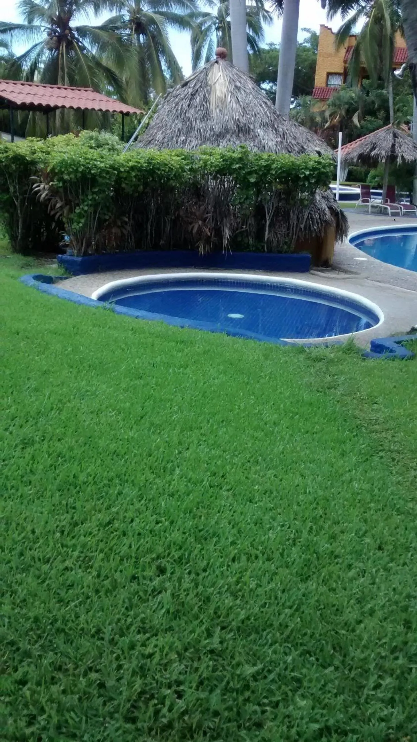 Garden in Hotel Puerta Del Mar Ixtapa