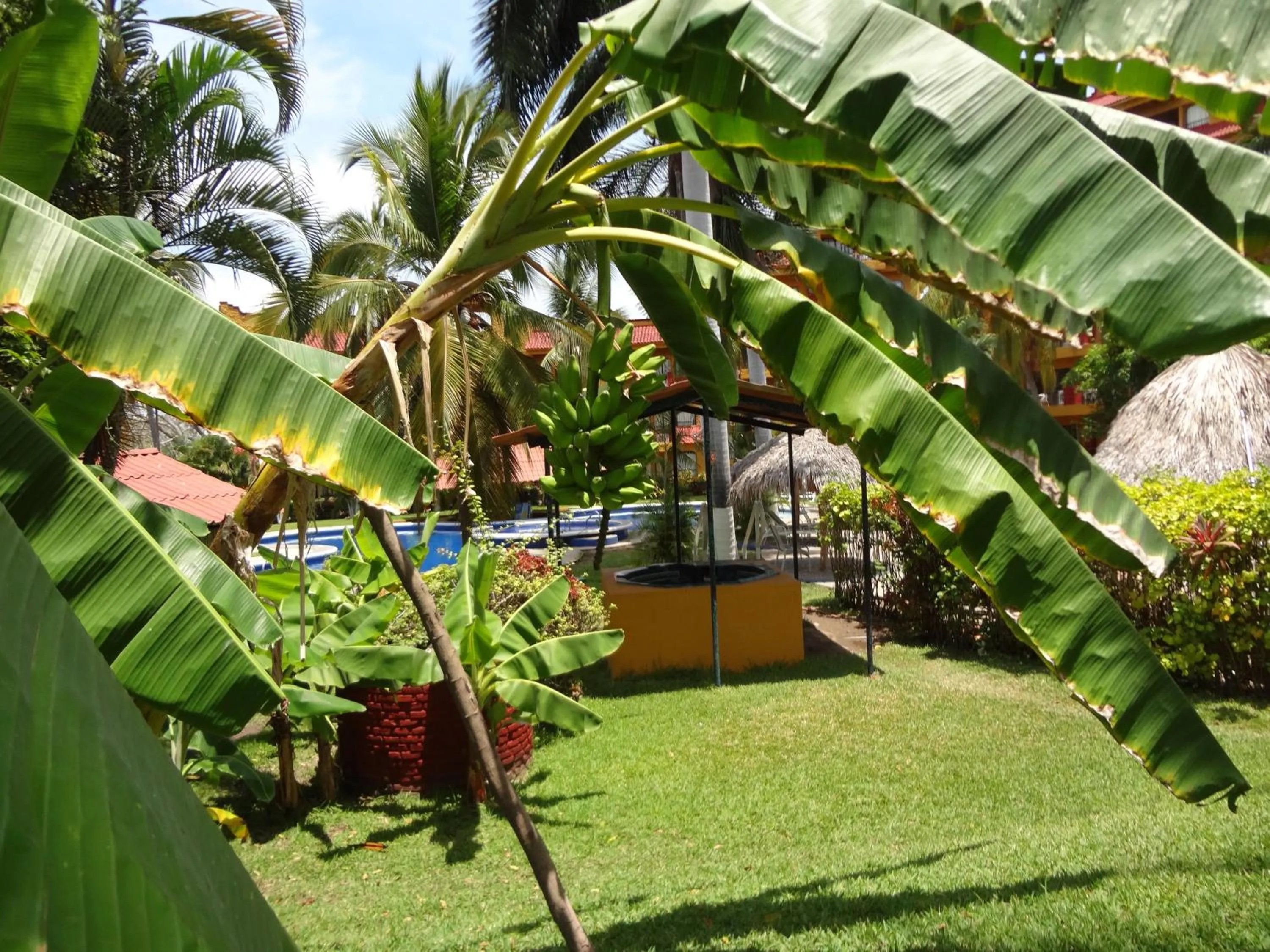Garden in Hotel Puerta Del Mar Ixtapa