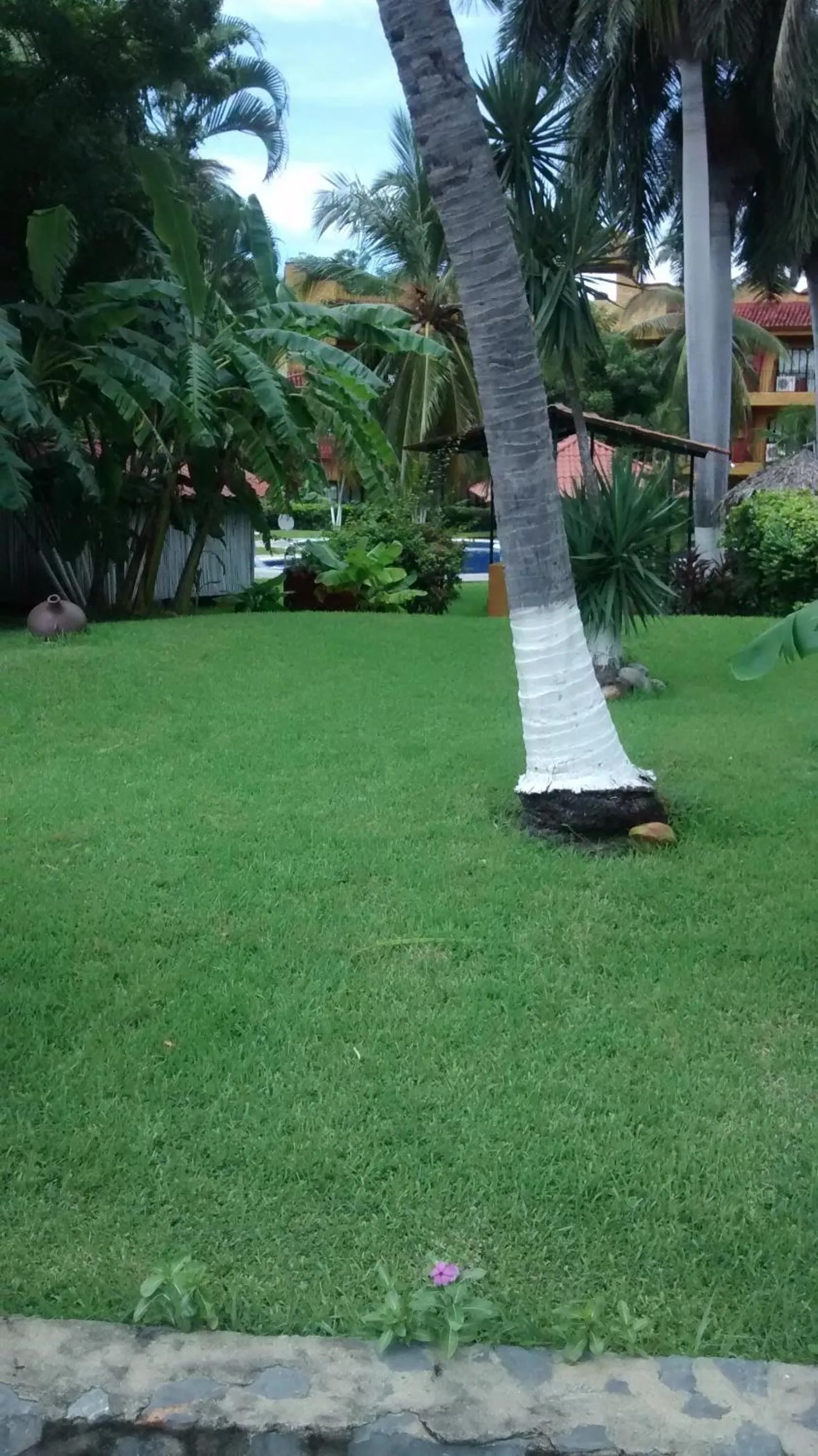 Garden in Hotel Puerta Del Mar Ixtapa