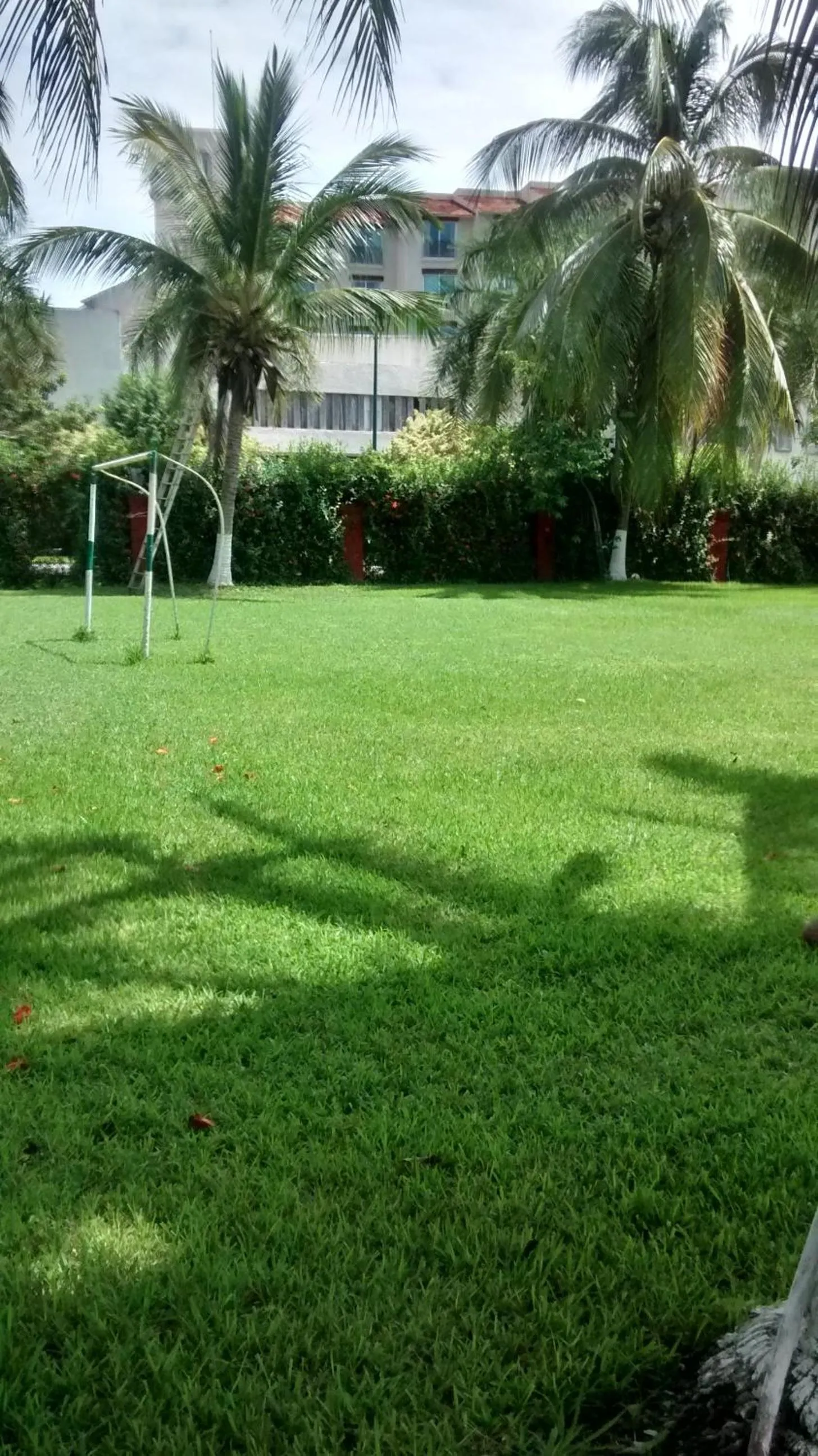Garden in Hotel Puerta Del Mar Ixtapa