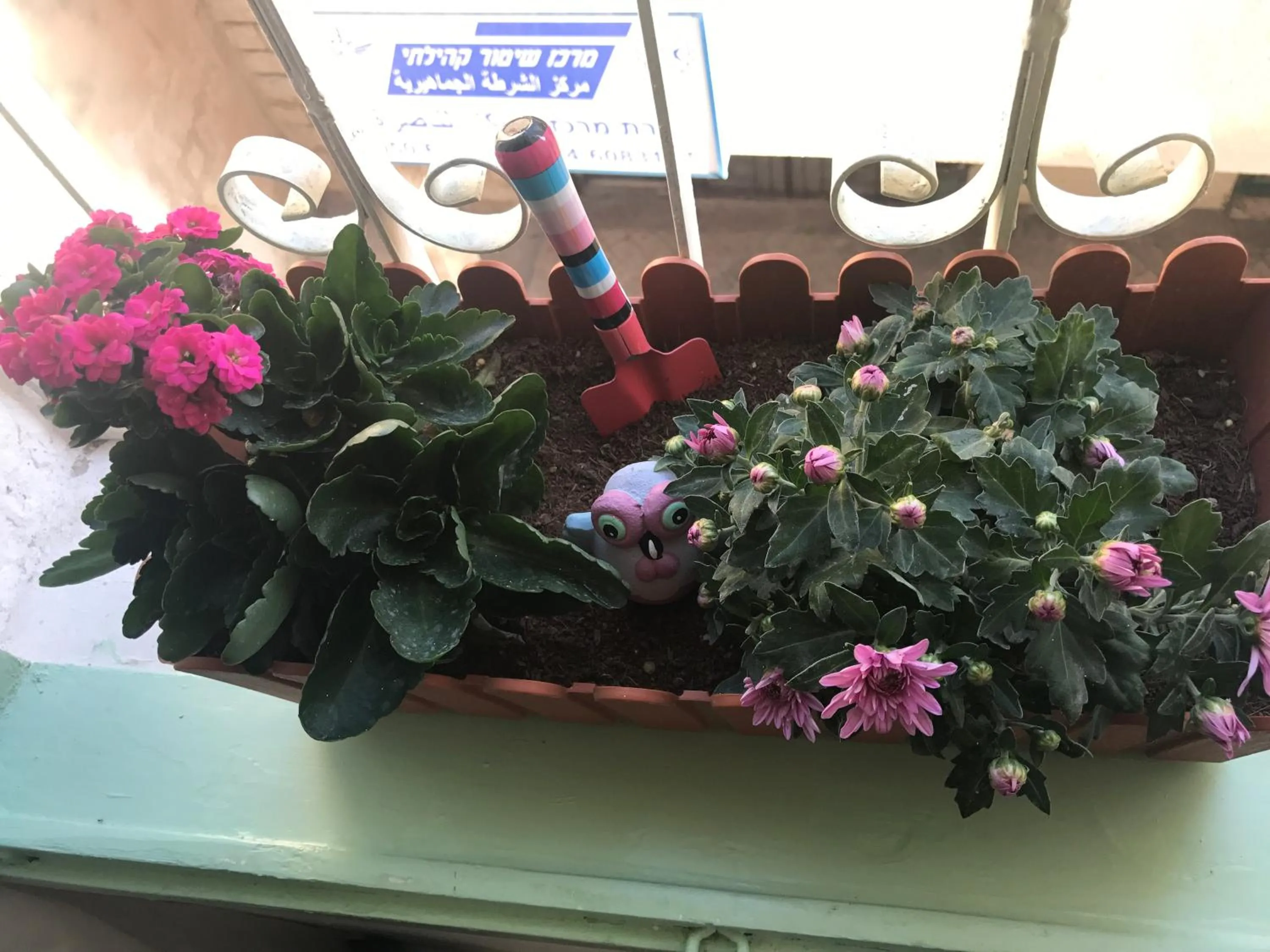 Al Bishara Guest House