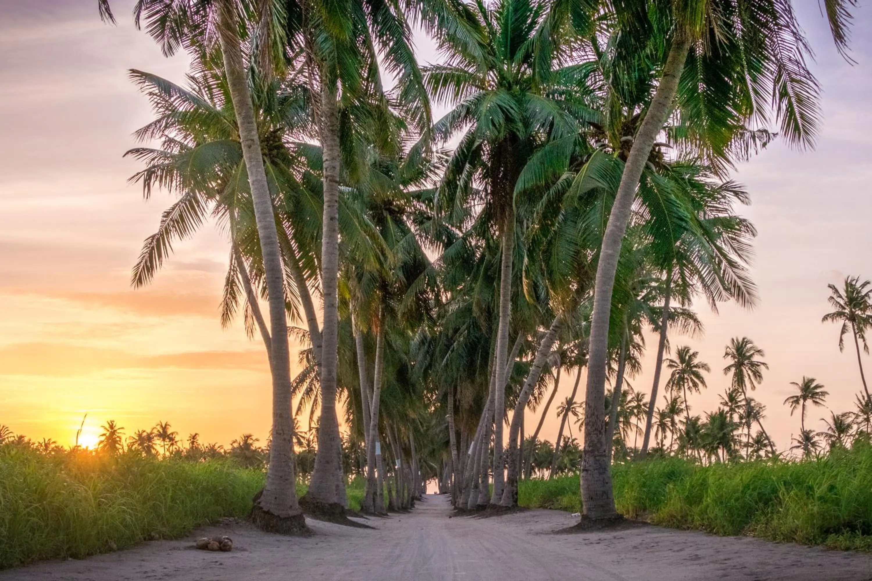 Nearby landmark in Athiriveli