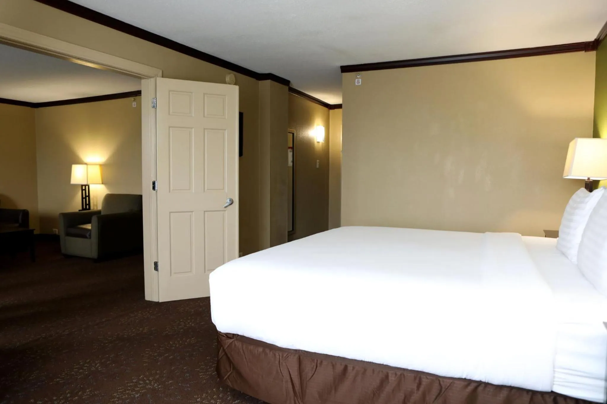 Photo of the whole room, Bed in Holiday Inn Chicago/Oak Brook by IHG