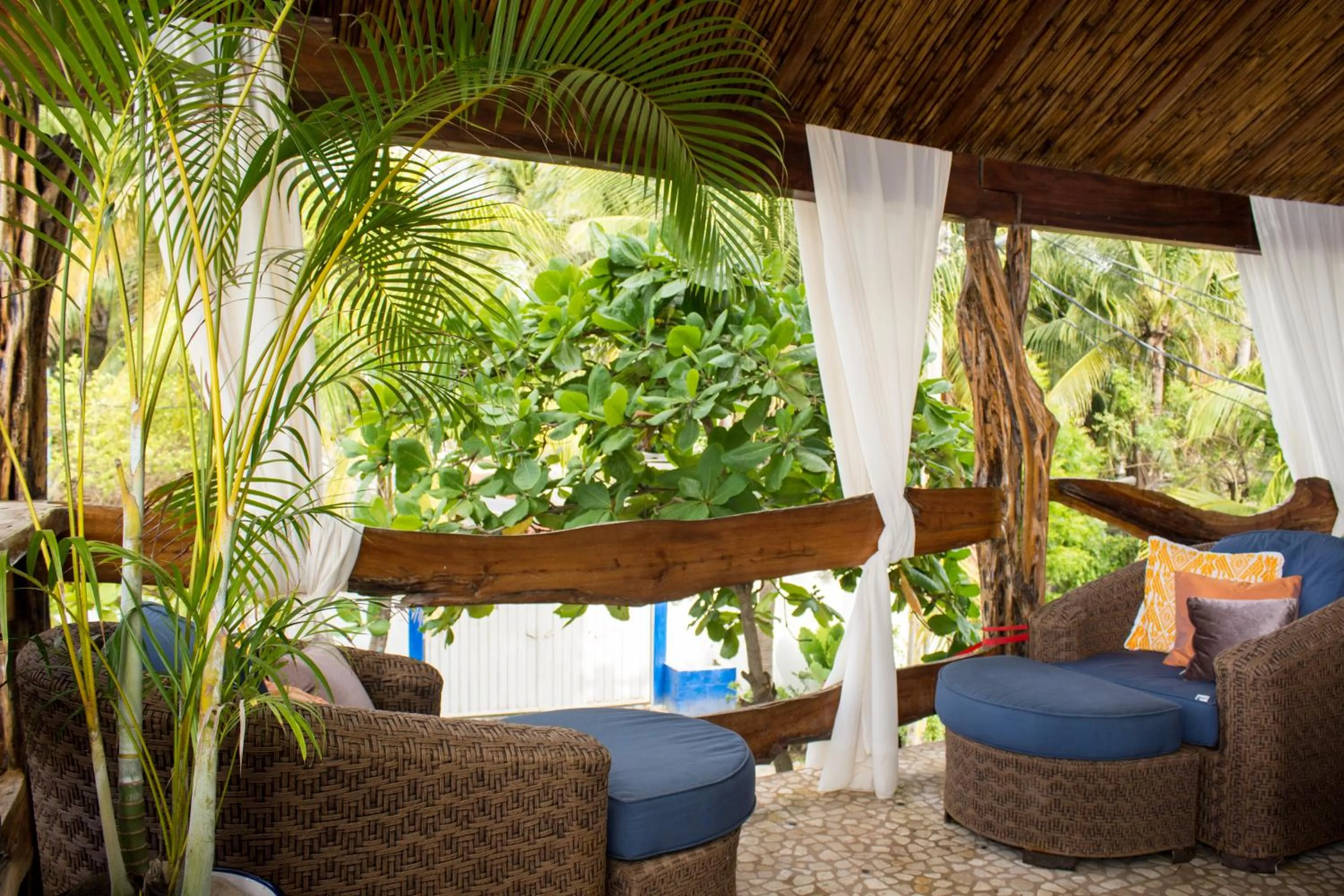 View (from property/room) in Casa Jaguar Hotel & Boutique