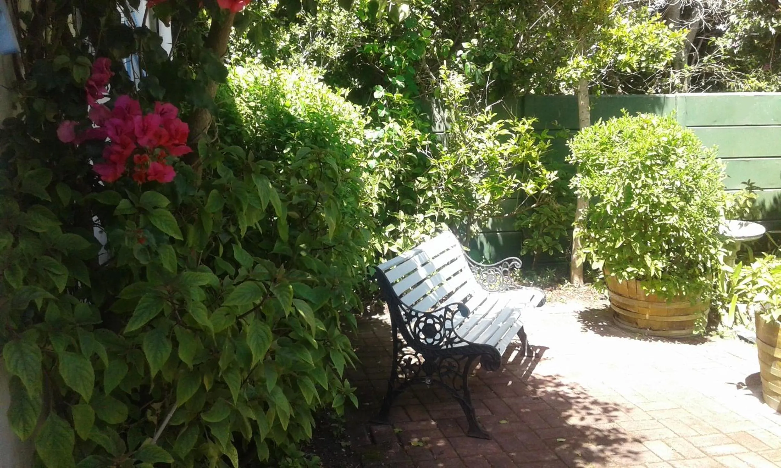 Garden in Eastbury Cottage