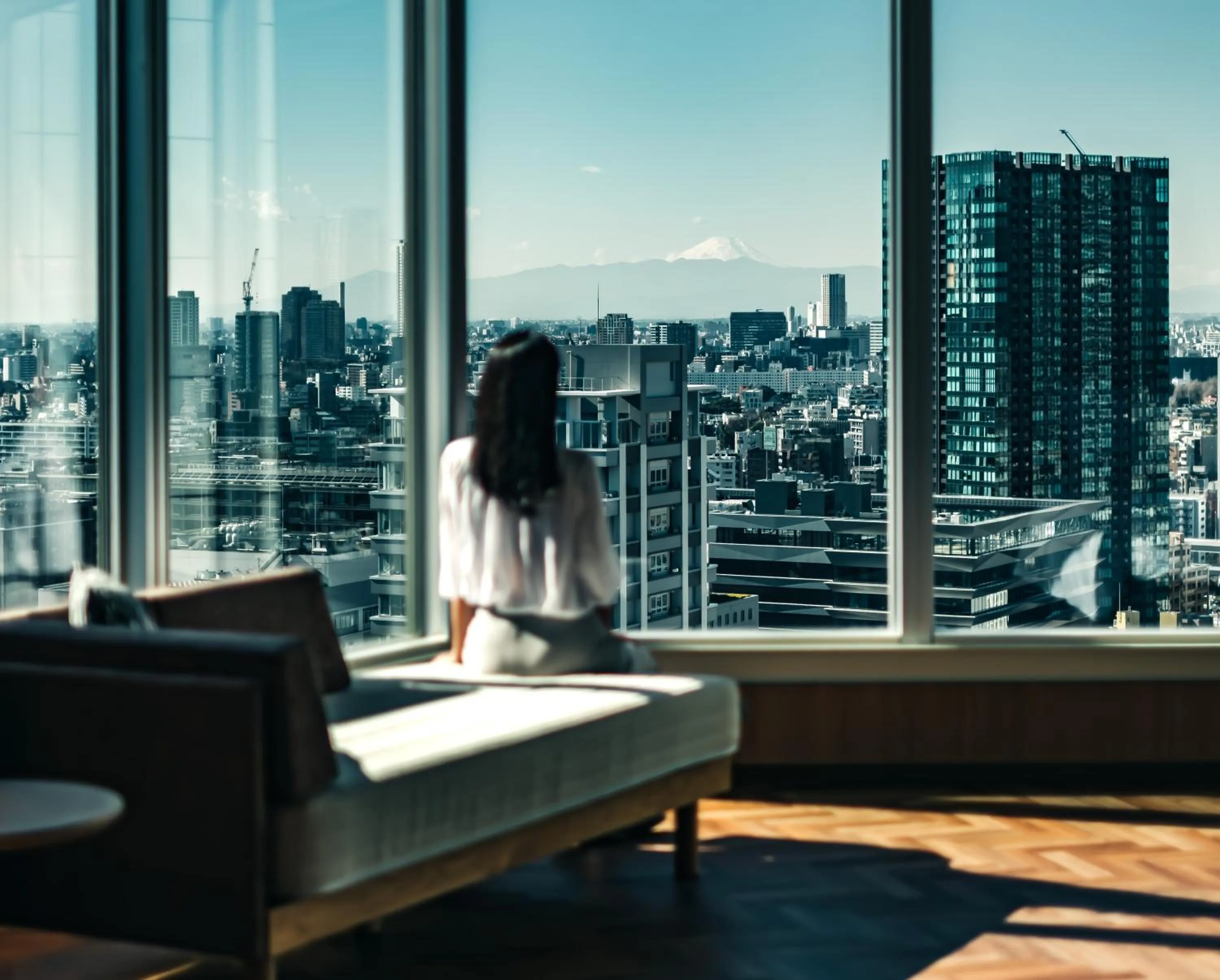 Mountain view in The Prince Park Tower Tokyo - Preferred Hotels & Resorts, LVX Collection