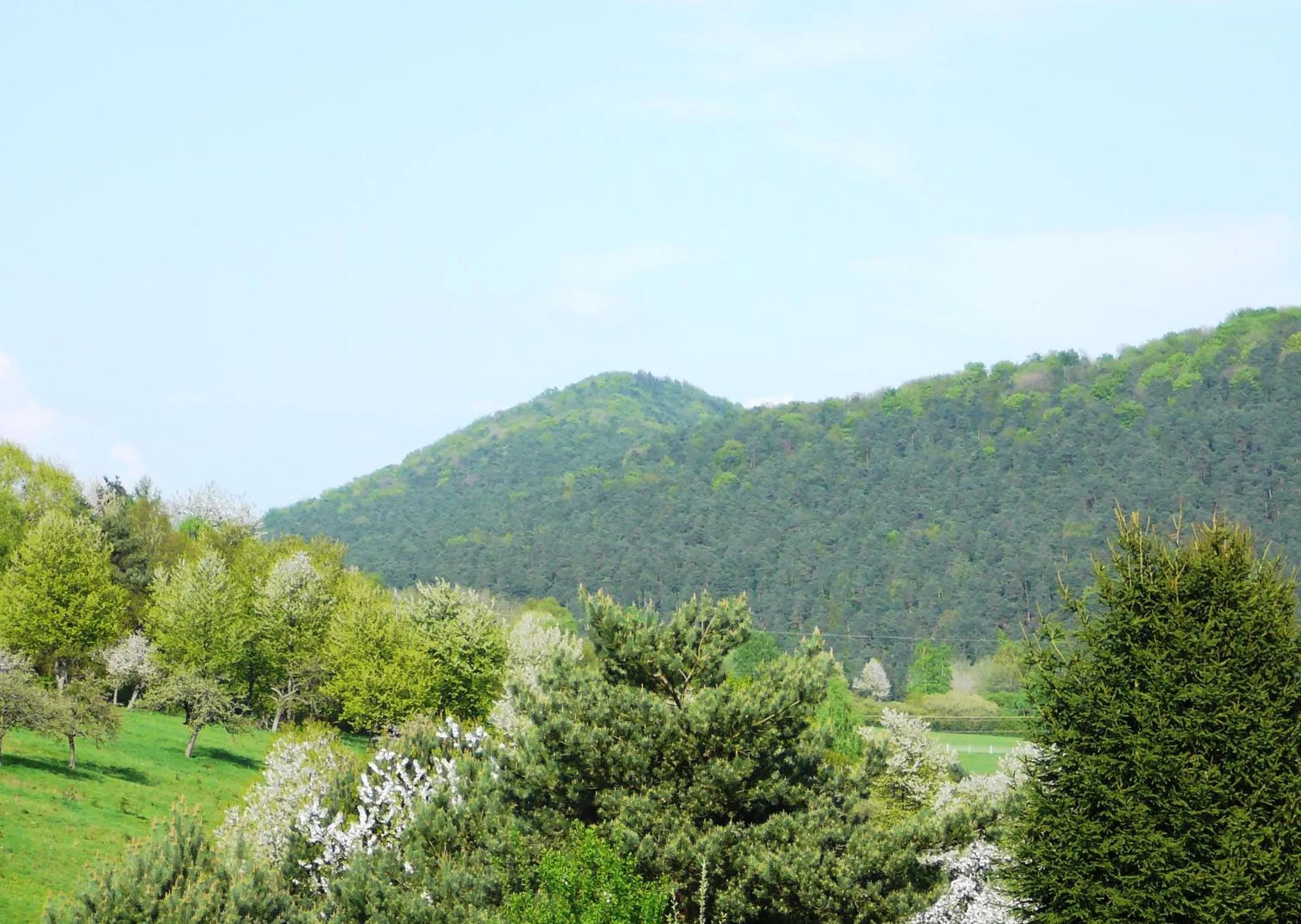 Area and facilities in Zum Ochsen