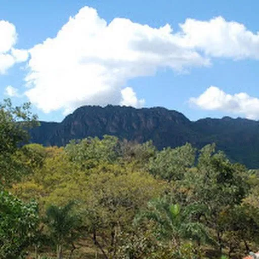 Chalés Colina de Casa Branca