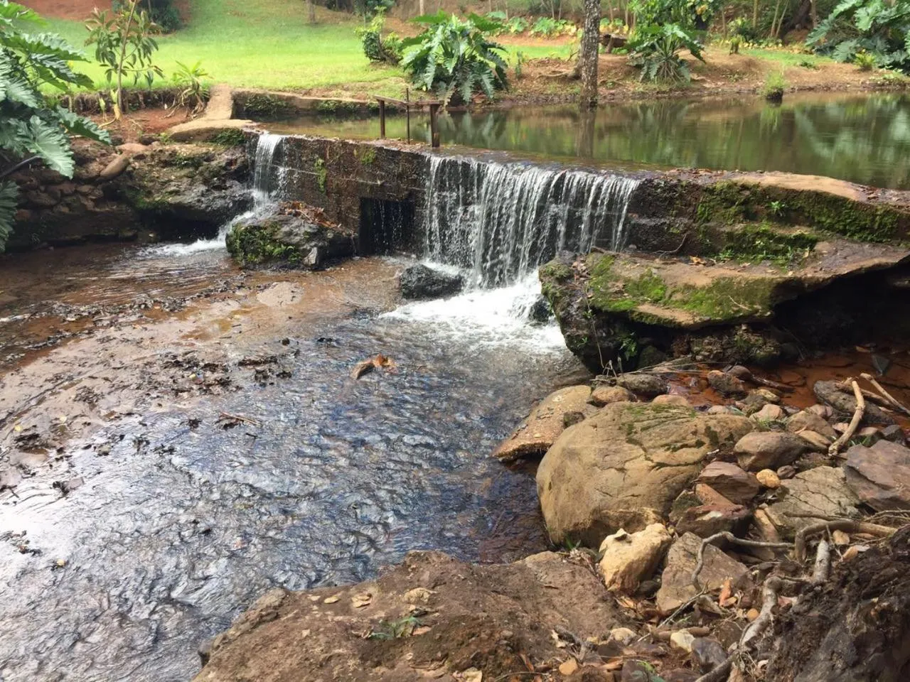 Chalés Colina de Casa Branca