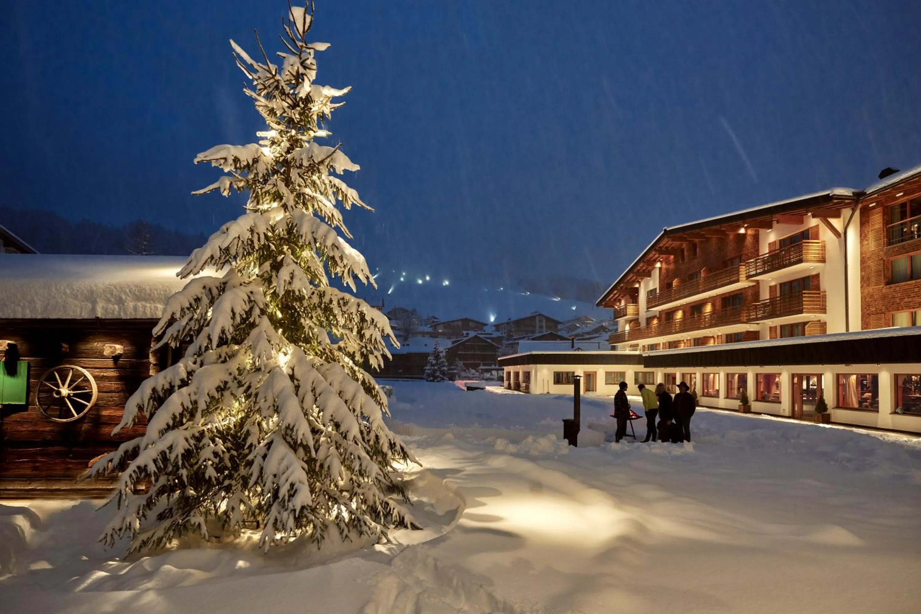 Natural landscape in Hotel Auriga