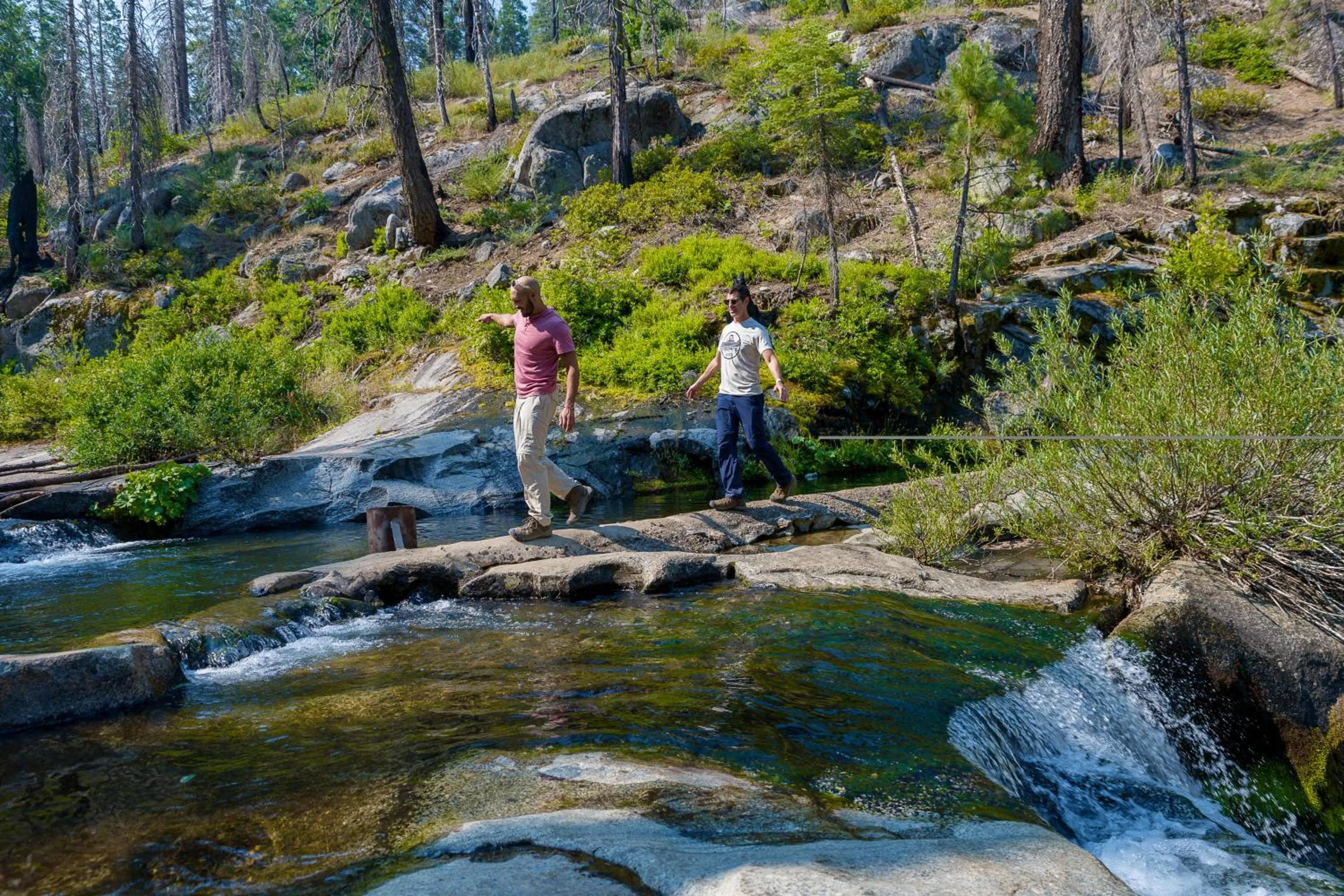 Other in Tenaya at Yosemite